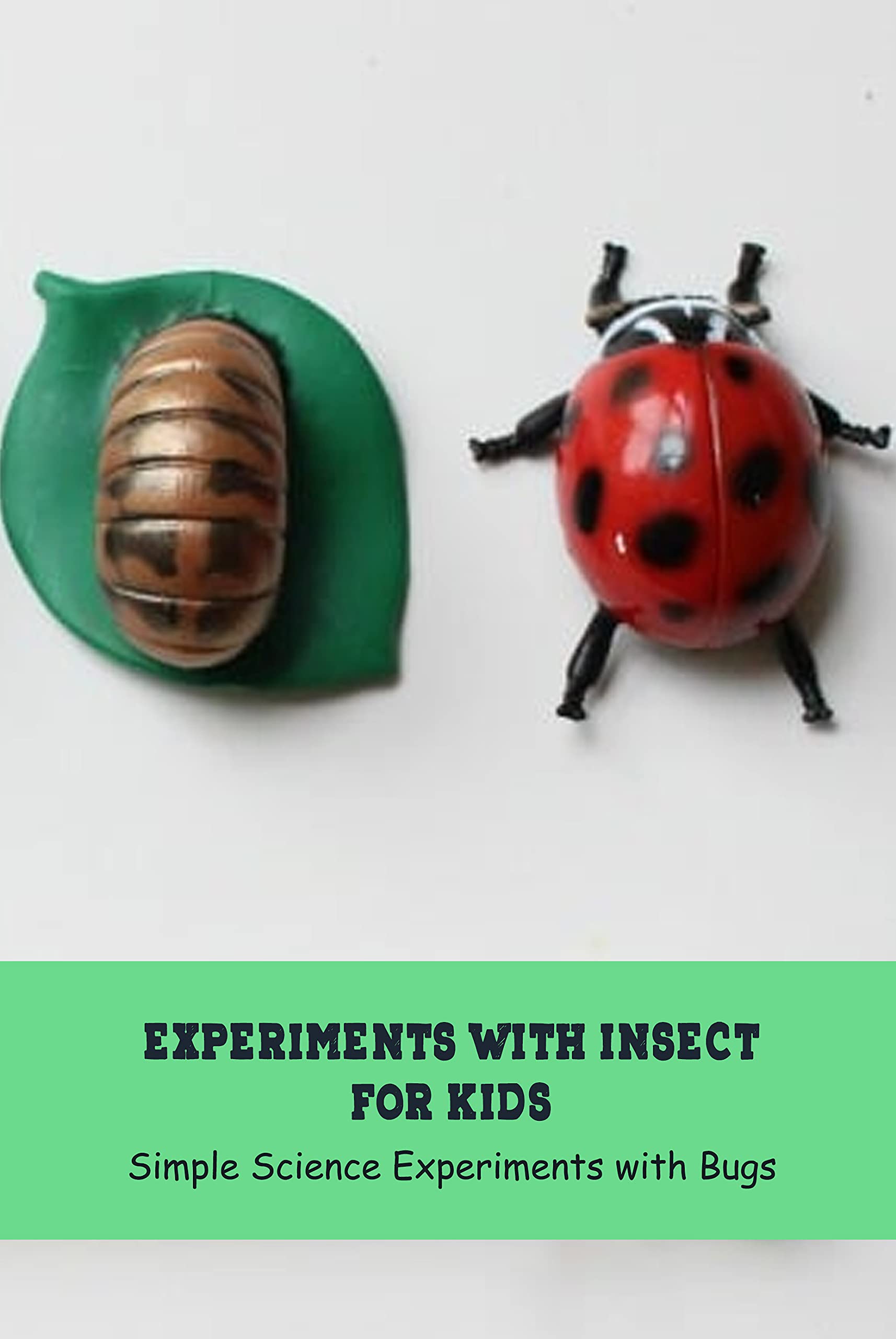 Experiments with Insect for Kids Simple Science Experiments with Bugs