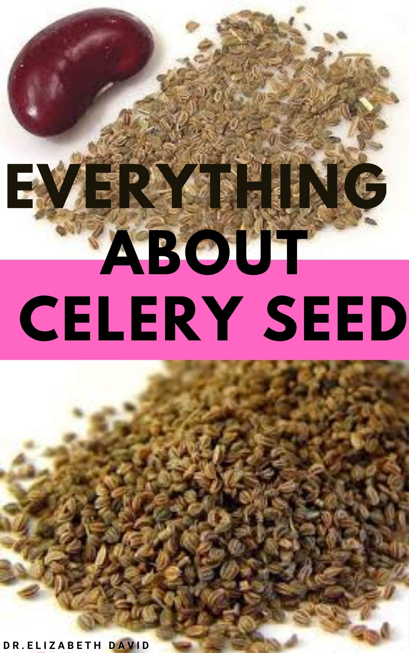 EVERYTHING ABOUT CELERY SEED Growing,Healing ,Recipes ,Health
