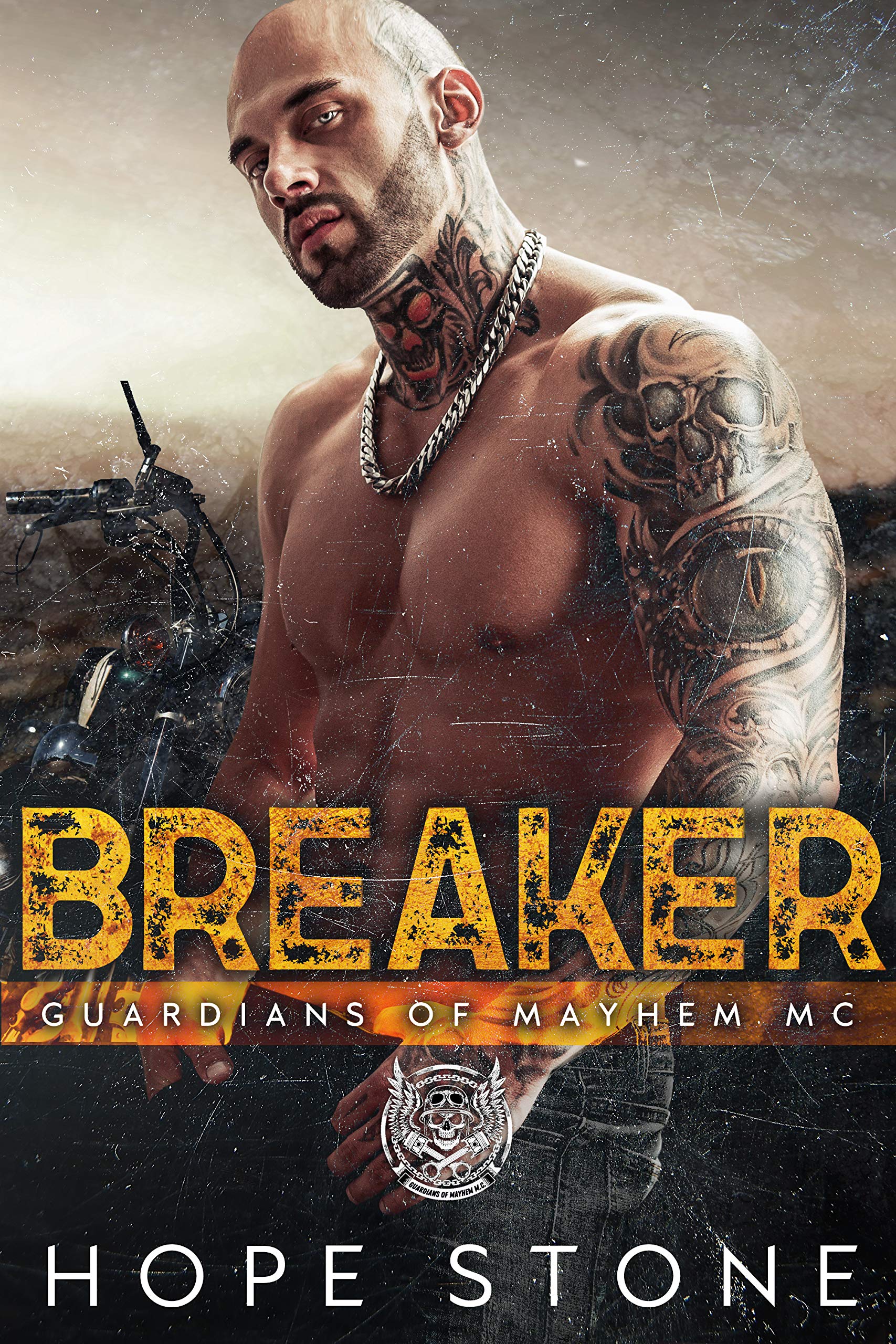 Breaker book cover