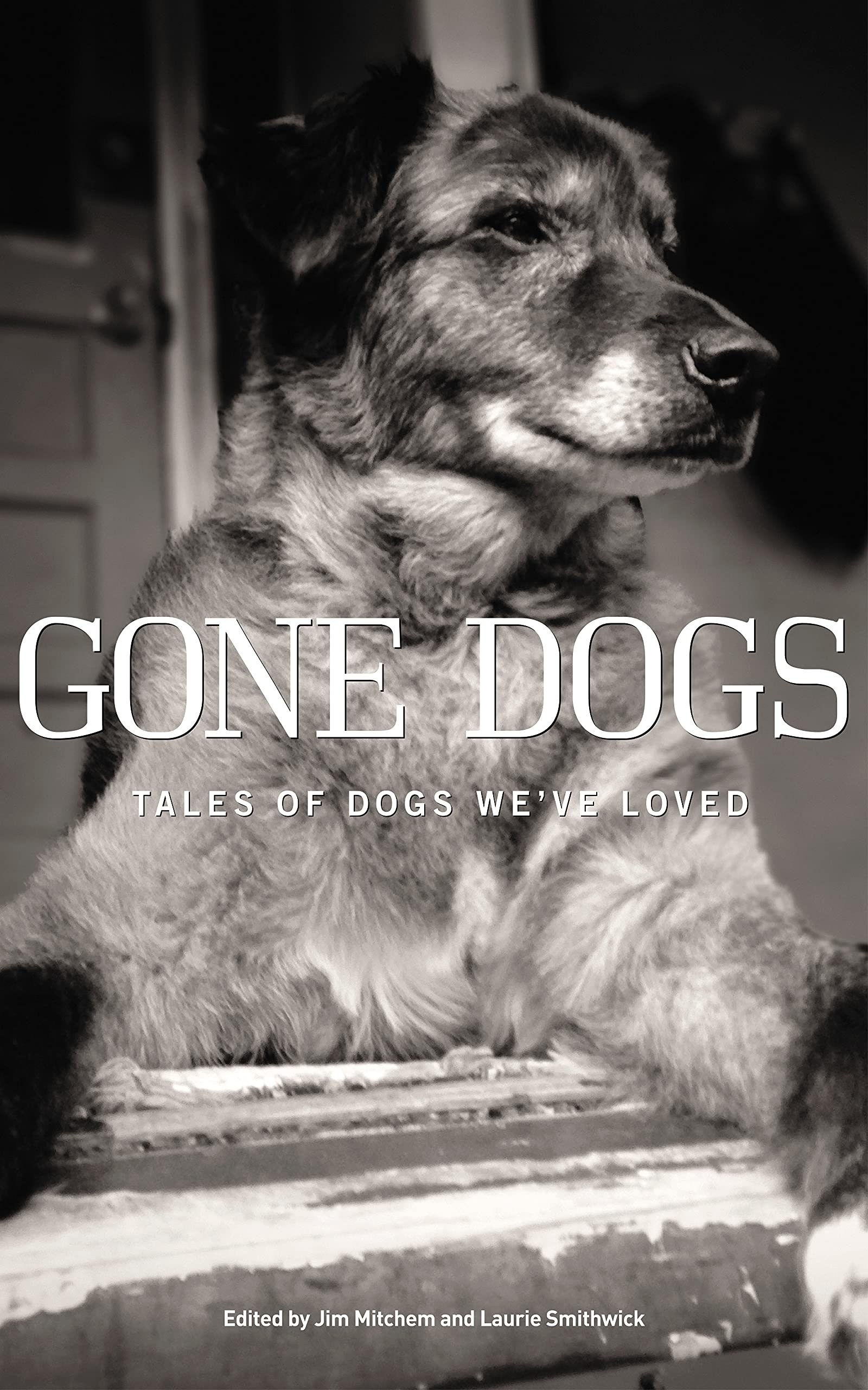 Gone Dogs: Tales of Dogs We've Loved
