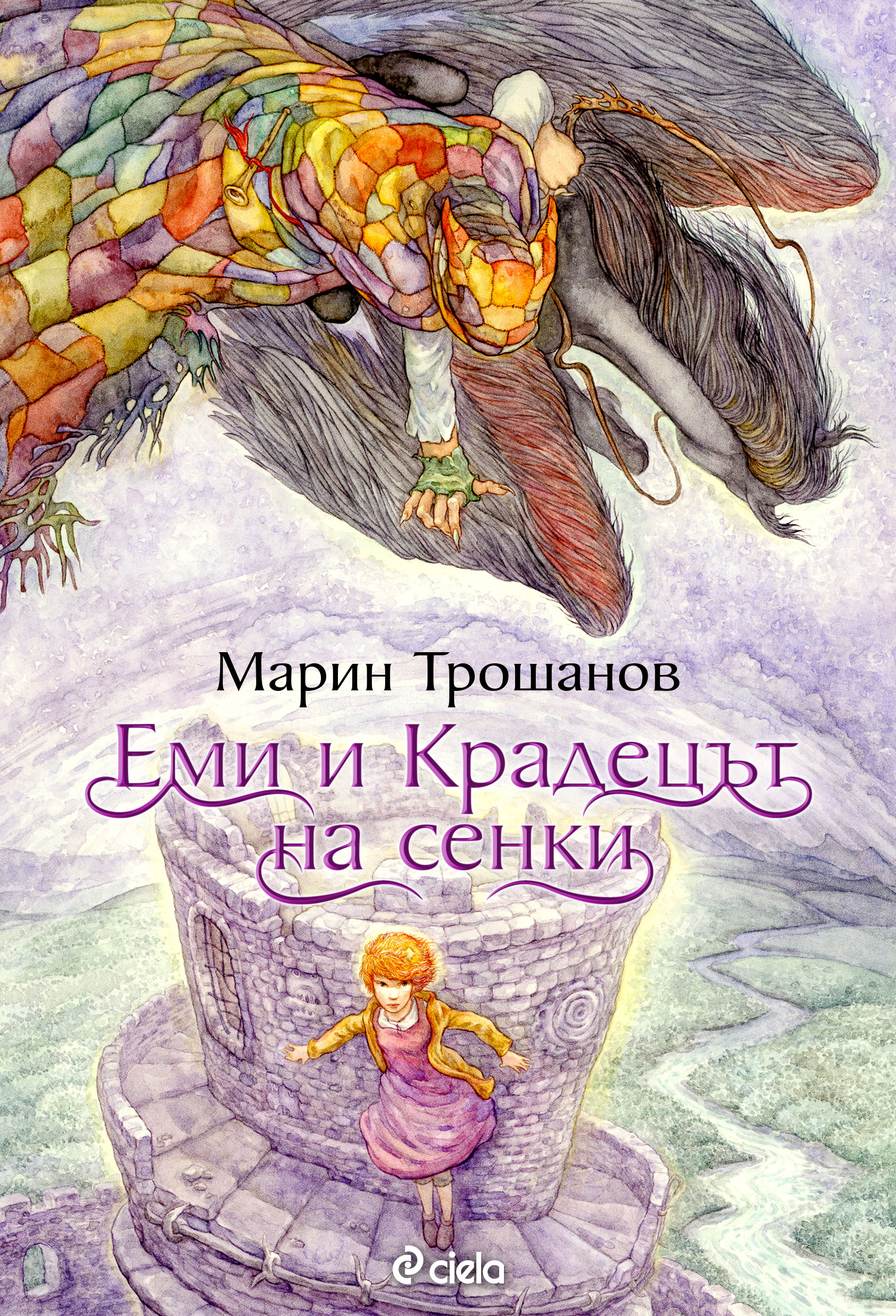 Еми и Крадецът на сенки book cover