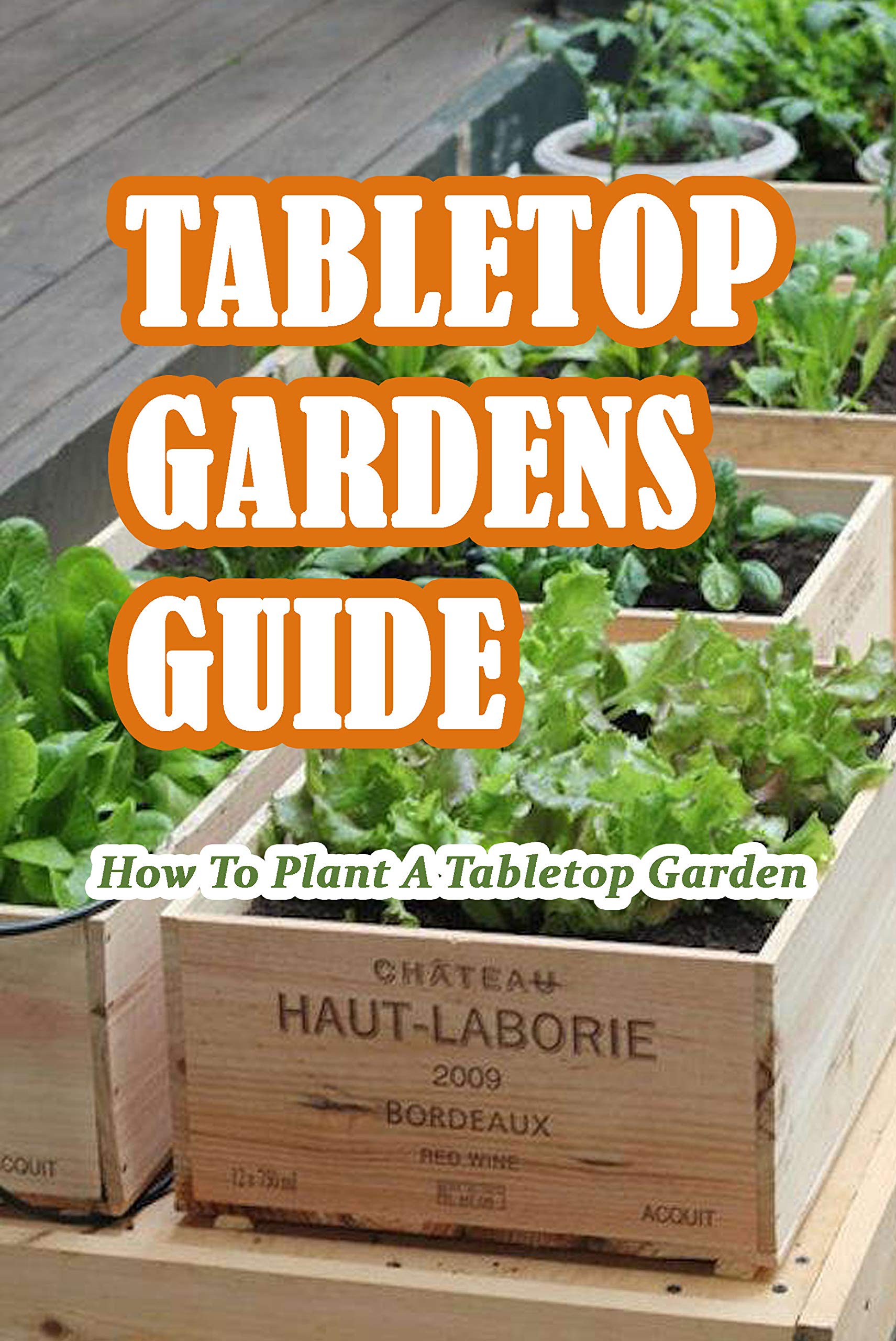 Tabletop Gardens Guide How To Plant A Tabletop Garden Beautiful