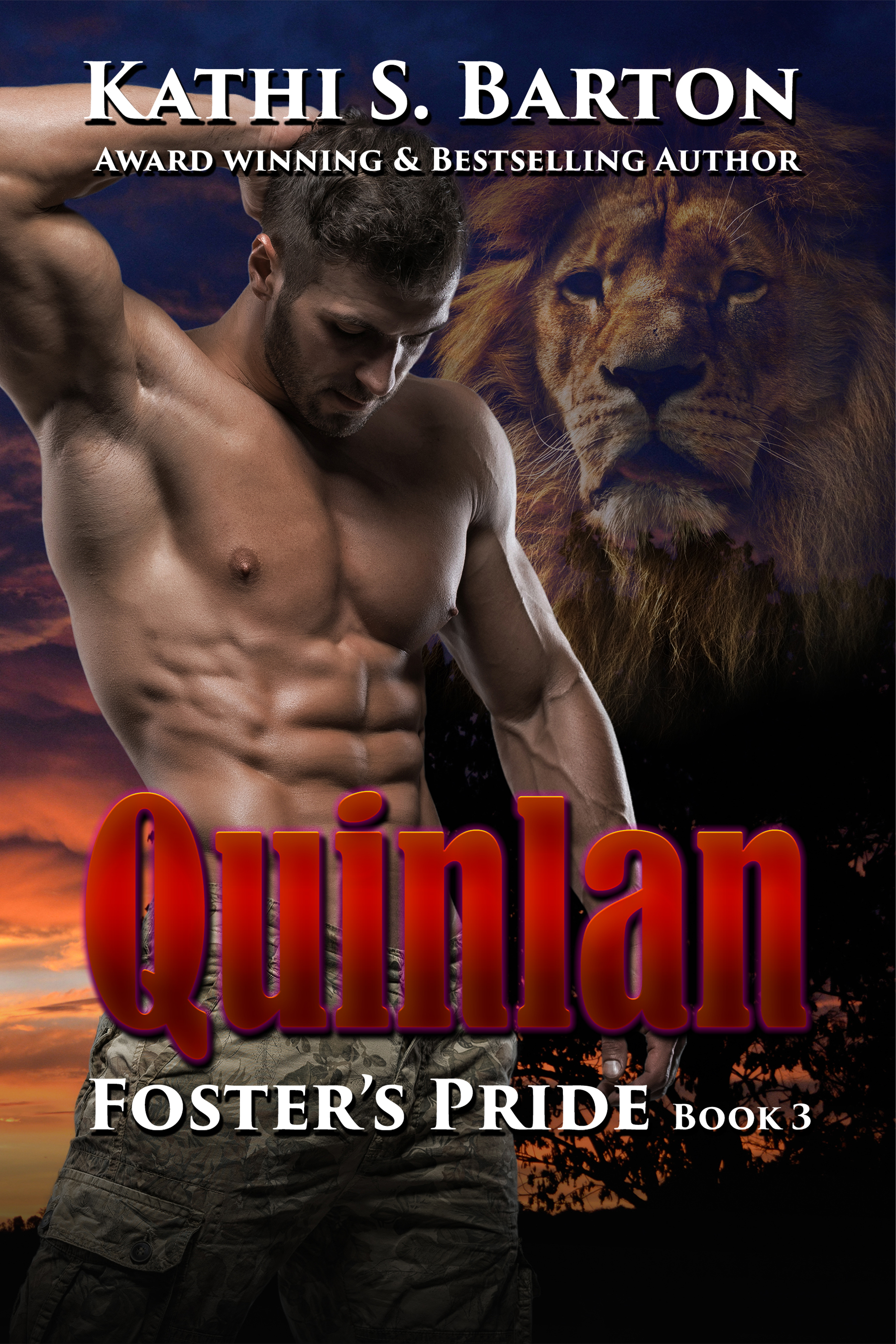 Quinlan book cover
