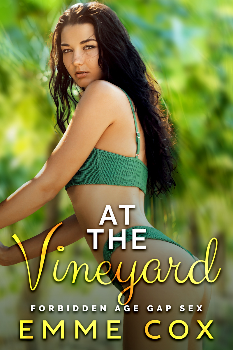 At The Vineyard book cover