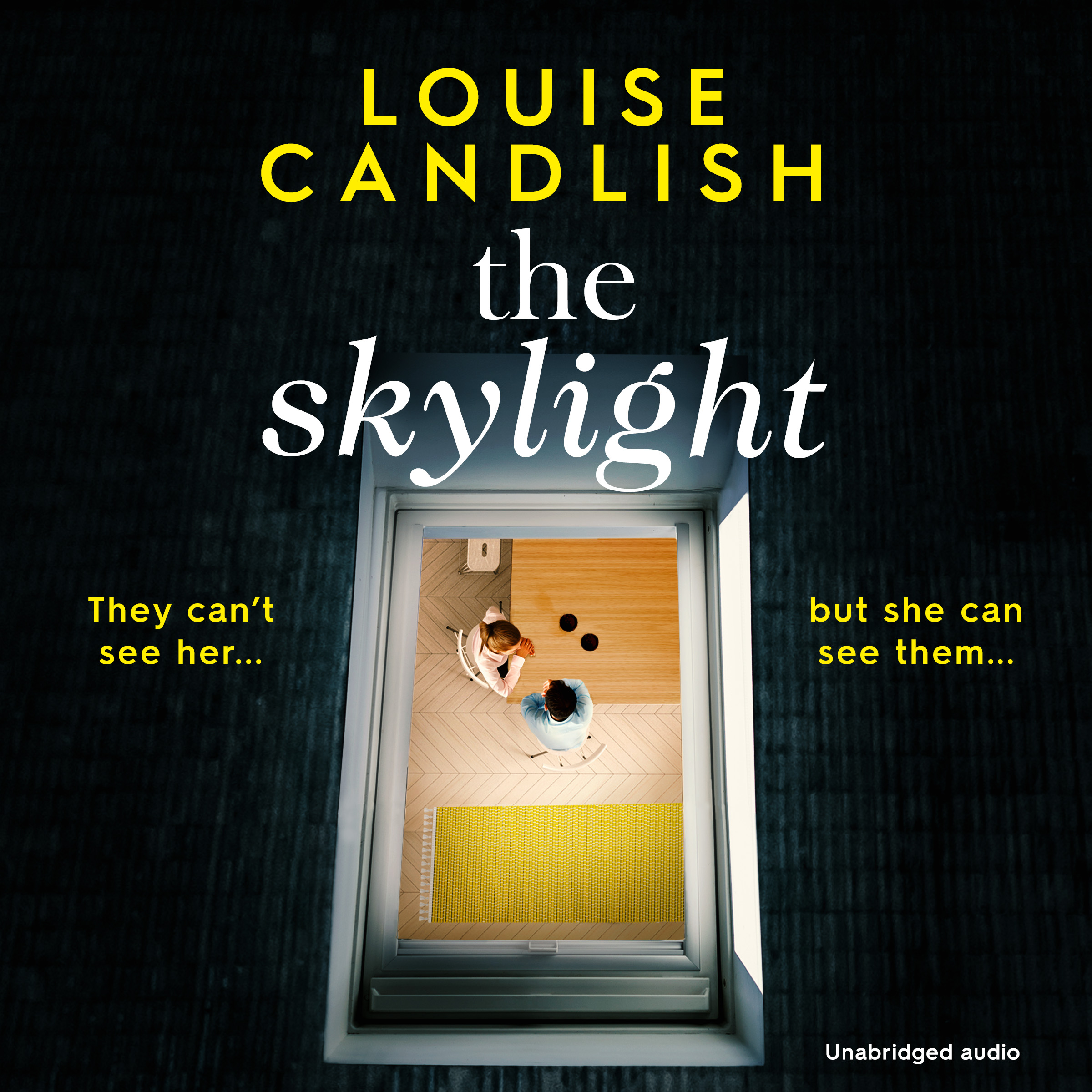The Skylight book cover