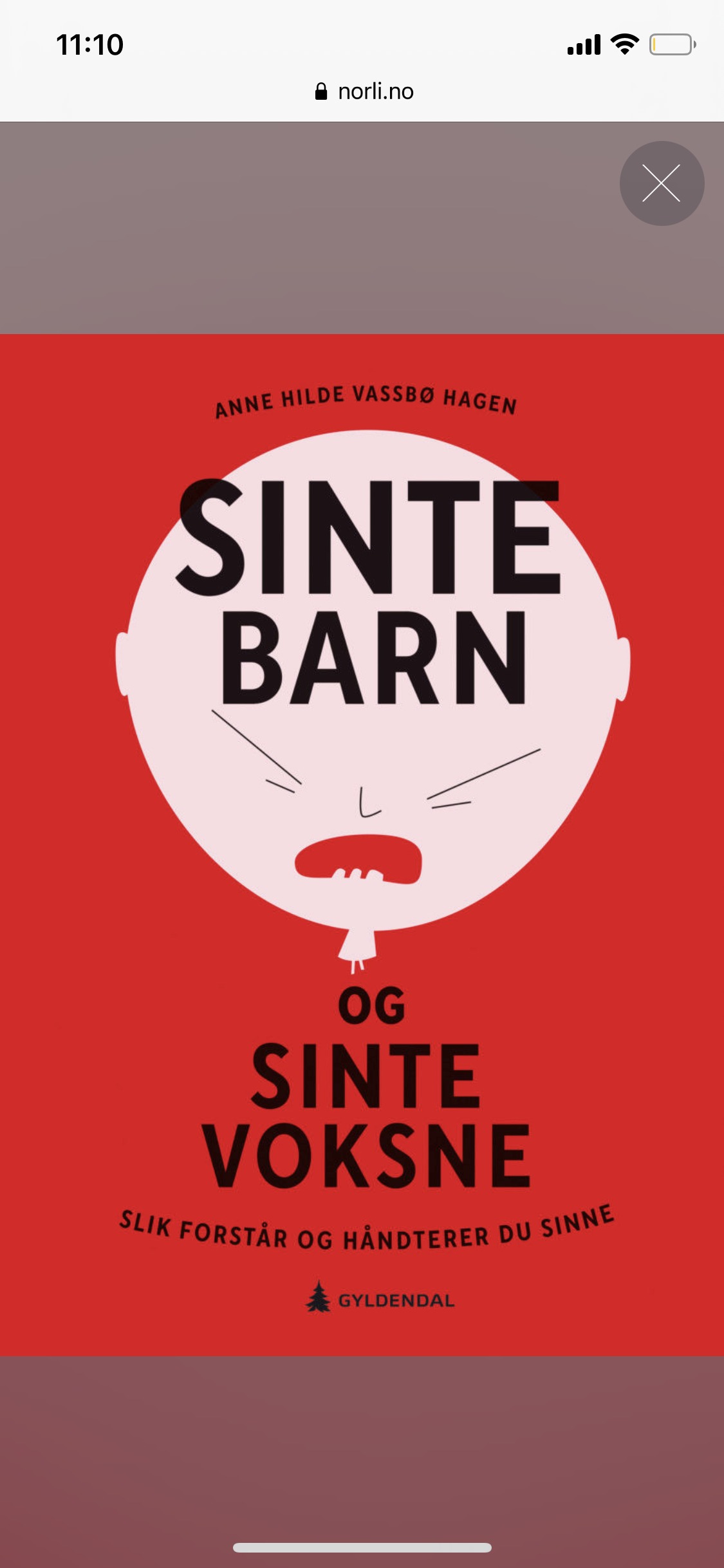 Sinte barn og Sinte voksne