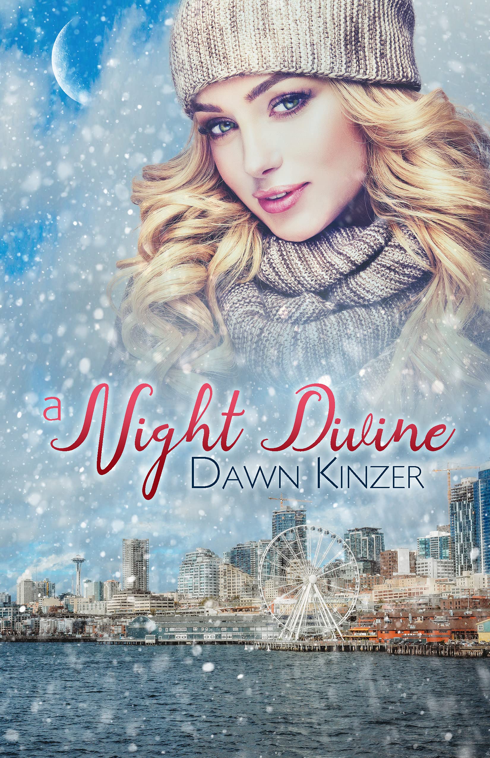 A Night Divine book cover