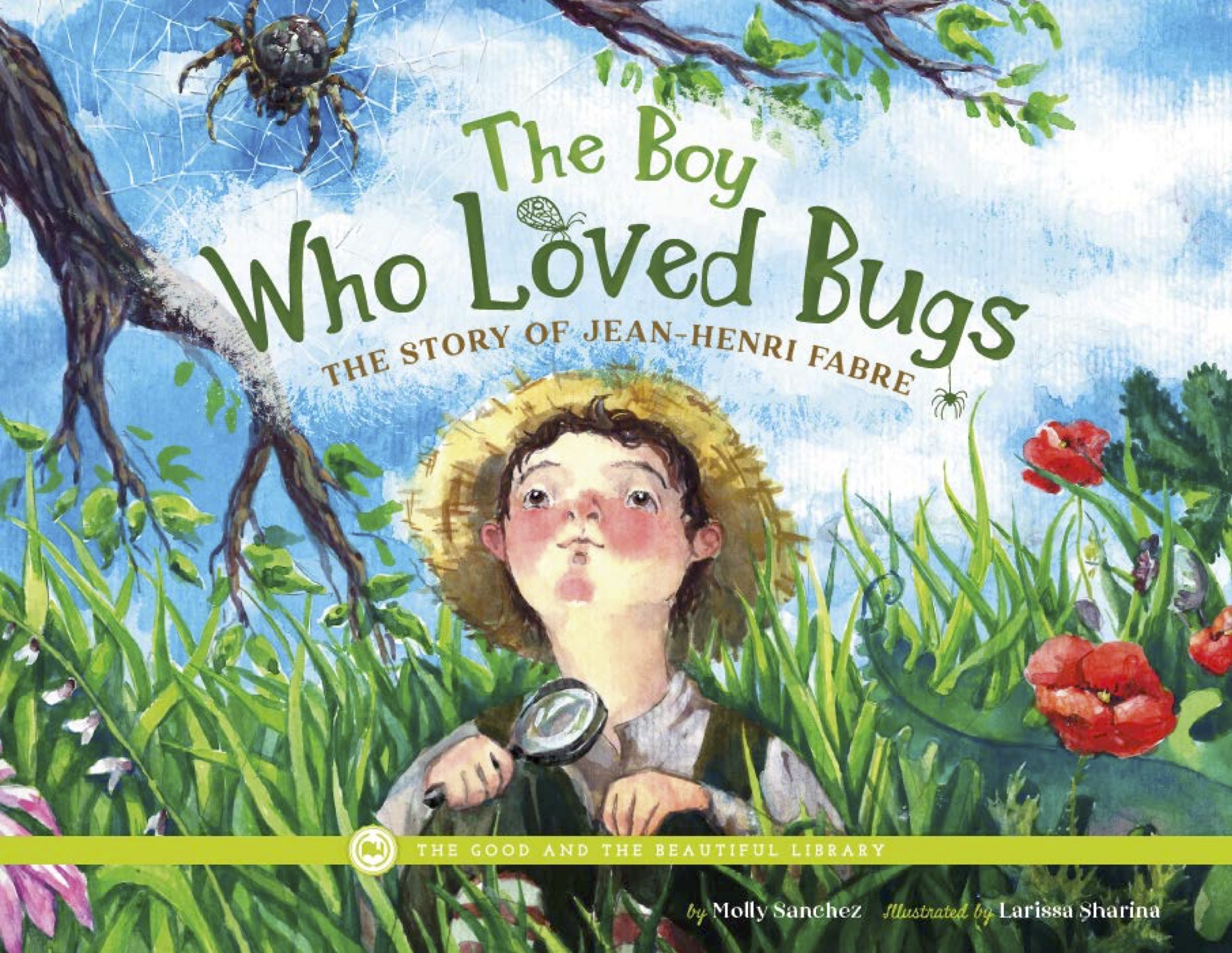 The Boy Who Loved Bugs