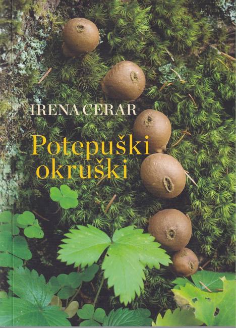 Potepuški okruški : kako sem hodila po robu