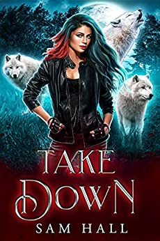 Take Down book cover