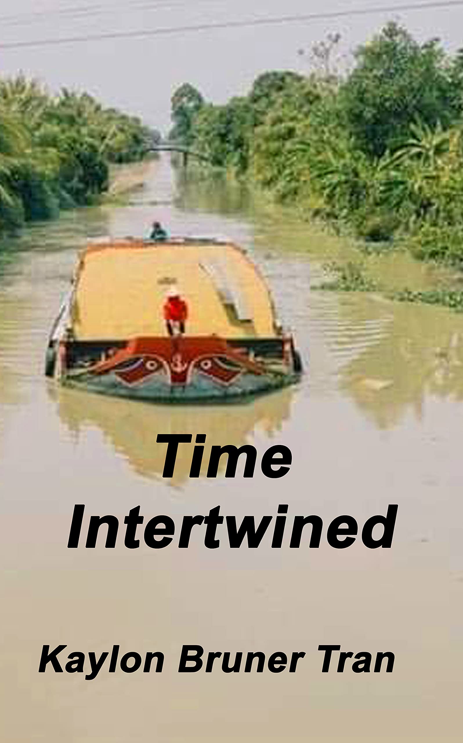 Time Intertwined: Book 1 of the Agent Orange Trilogy