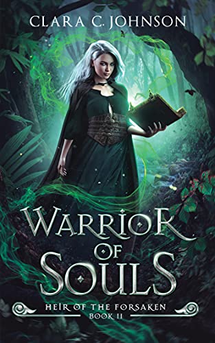 Heir of the Forsaken book cover 2