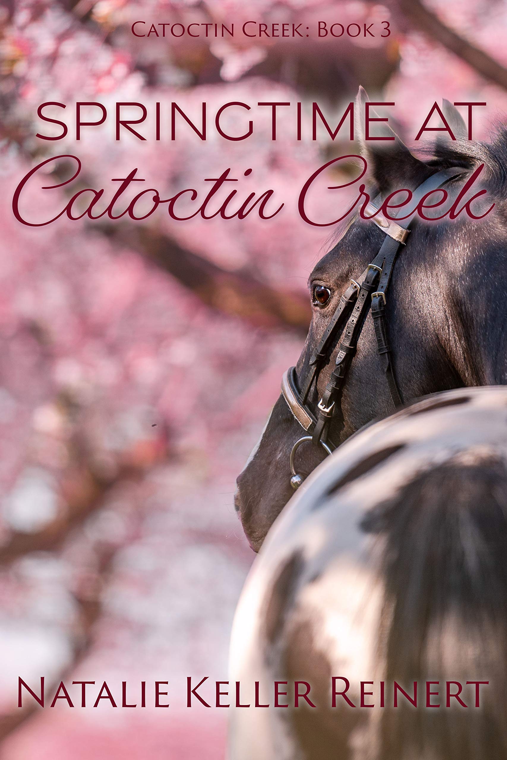 Catoctin Creek book cover 3