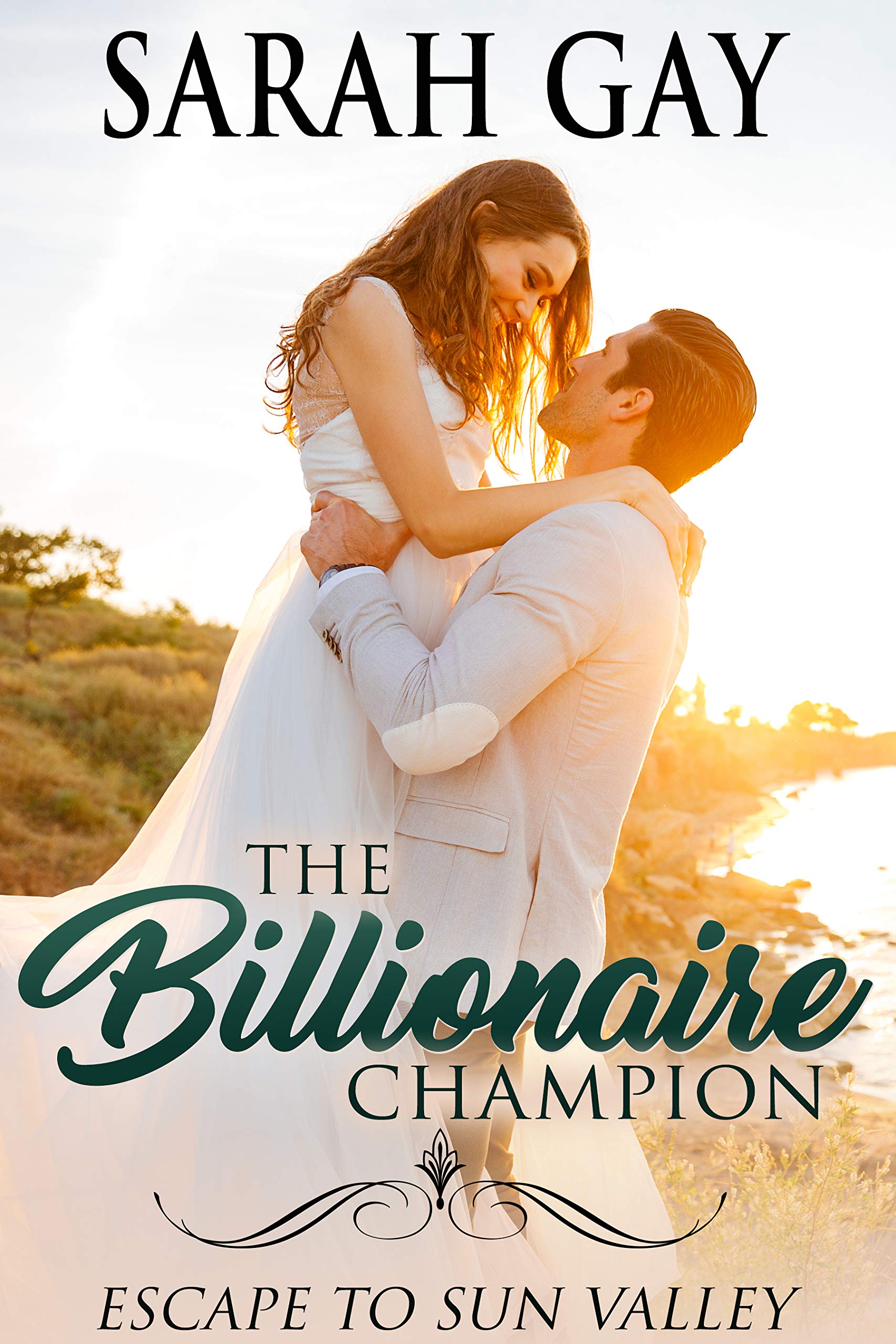 The Billionaire Champion book cover