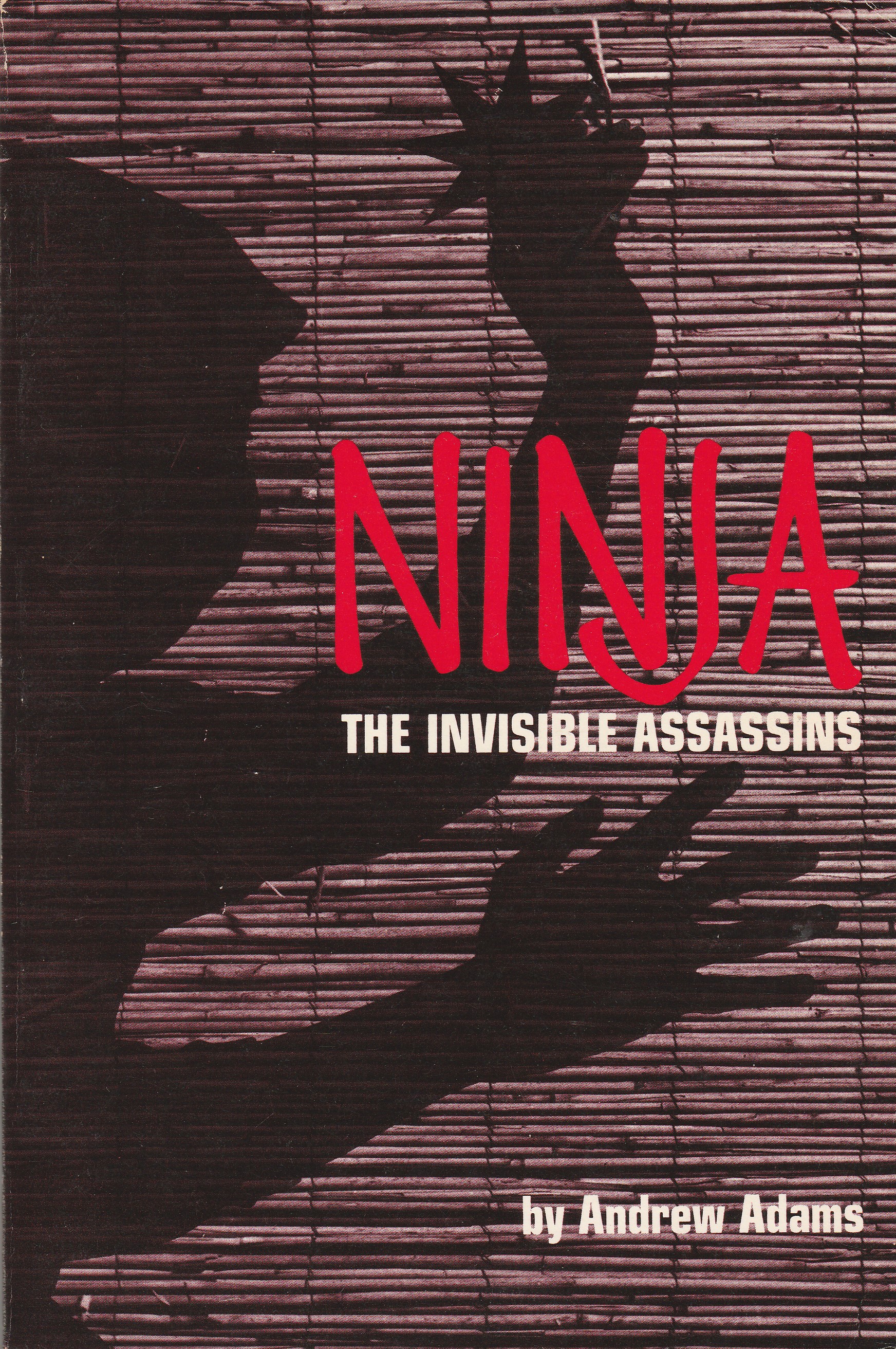 Ninja book cover