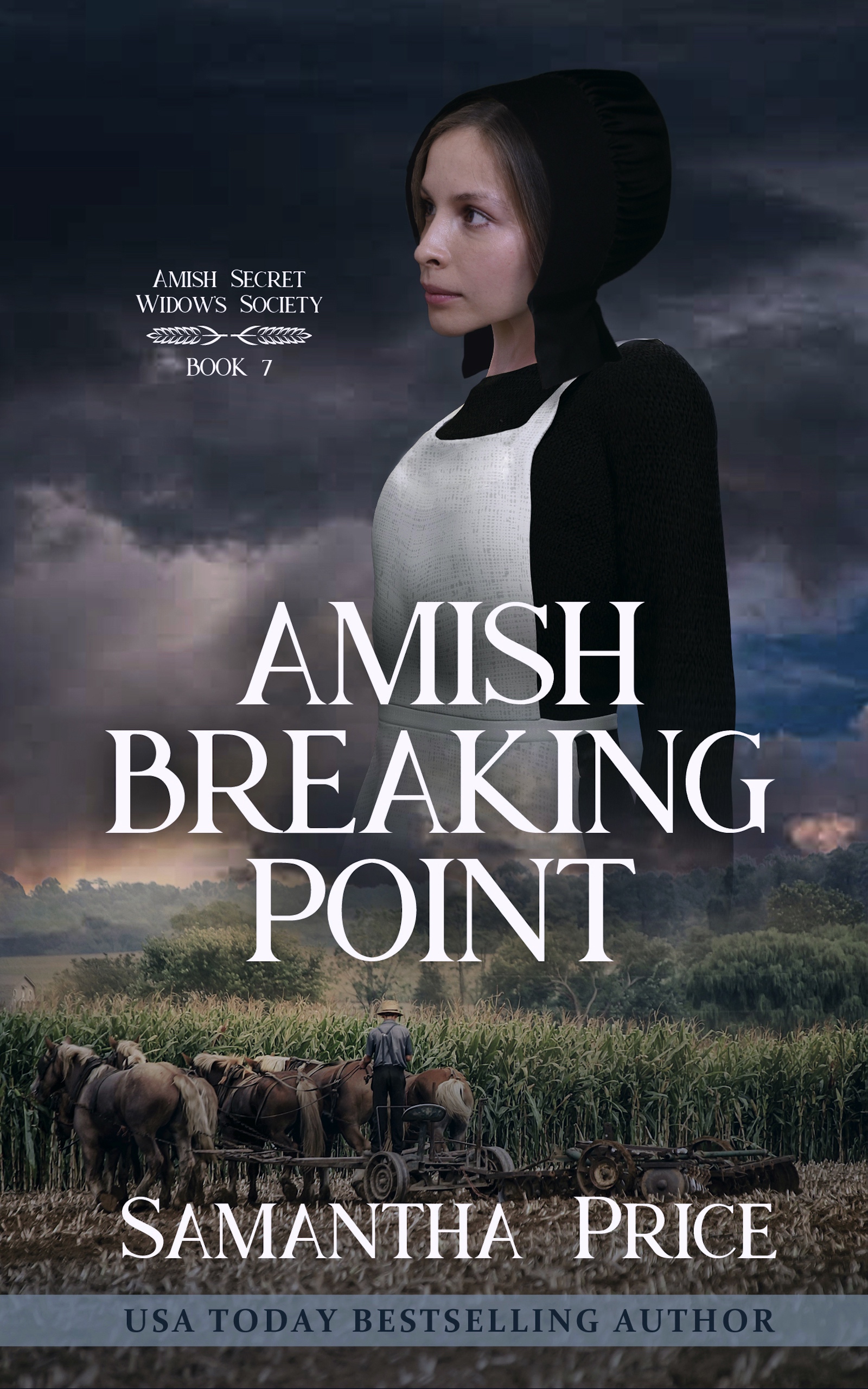 Amish Breaking Point