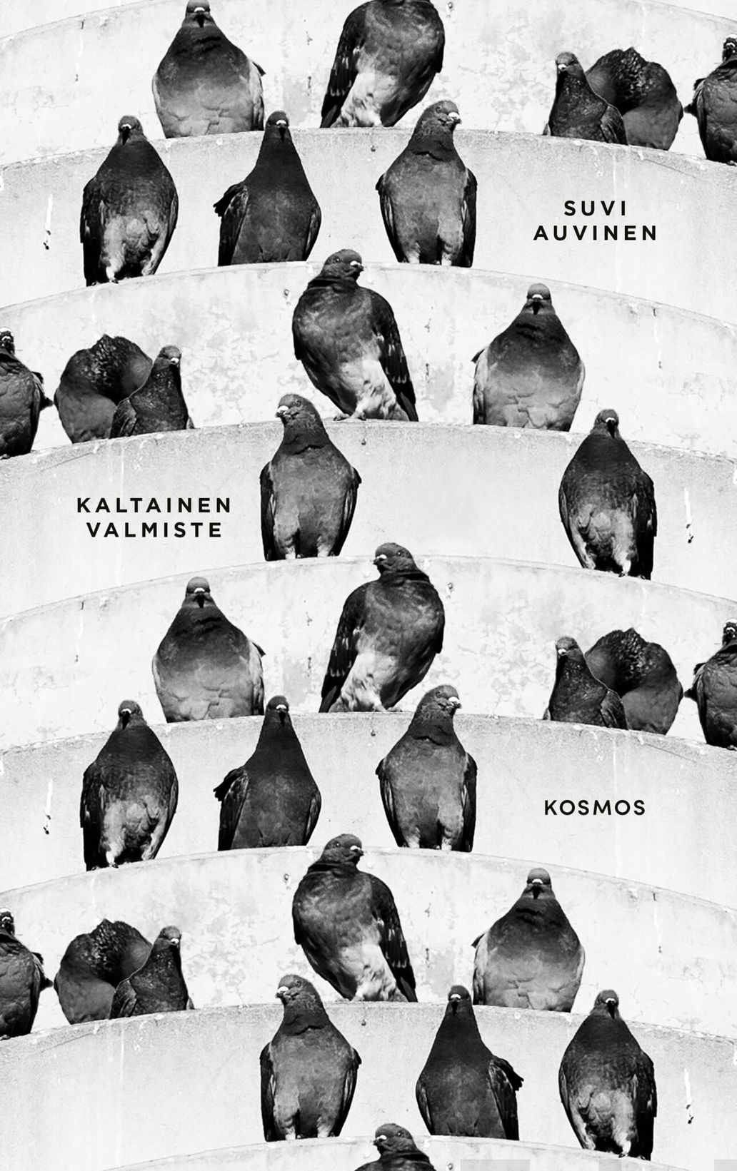 Kaltainen valmiste book cover