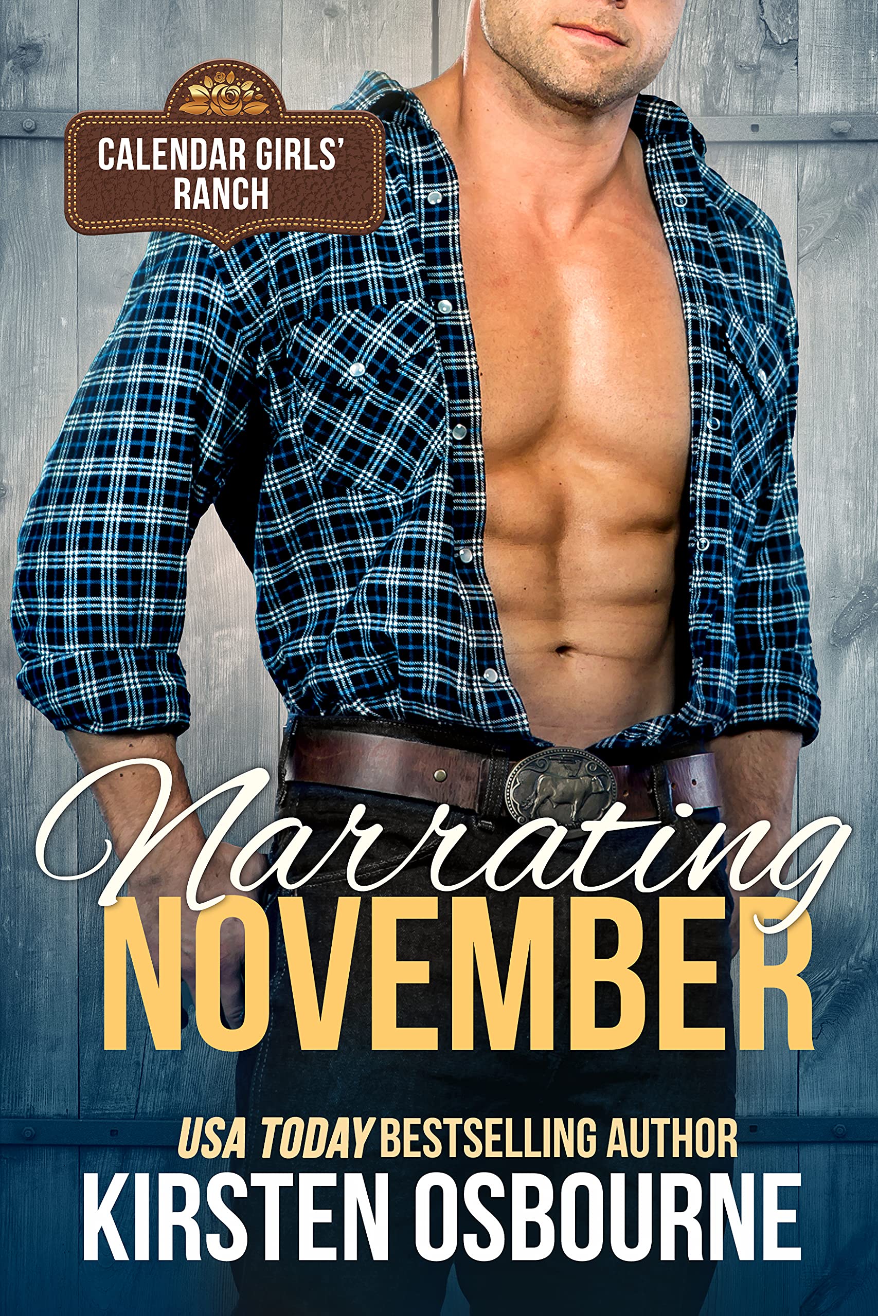 Narrating November book cover