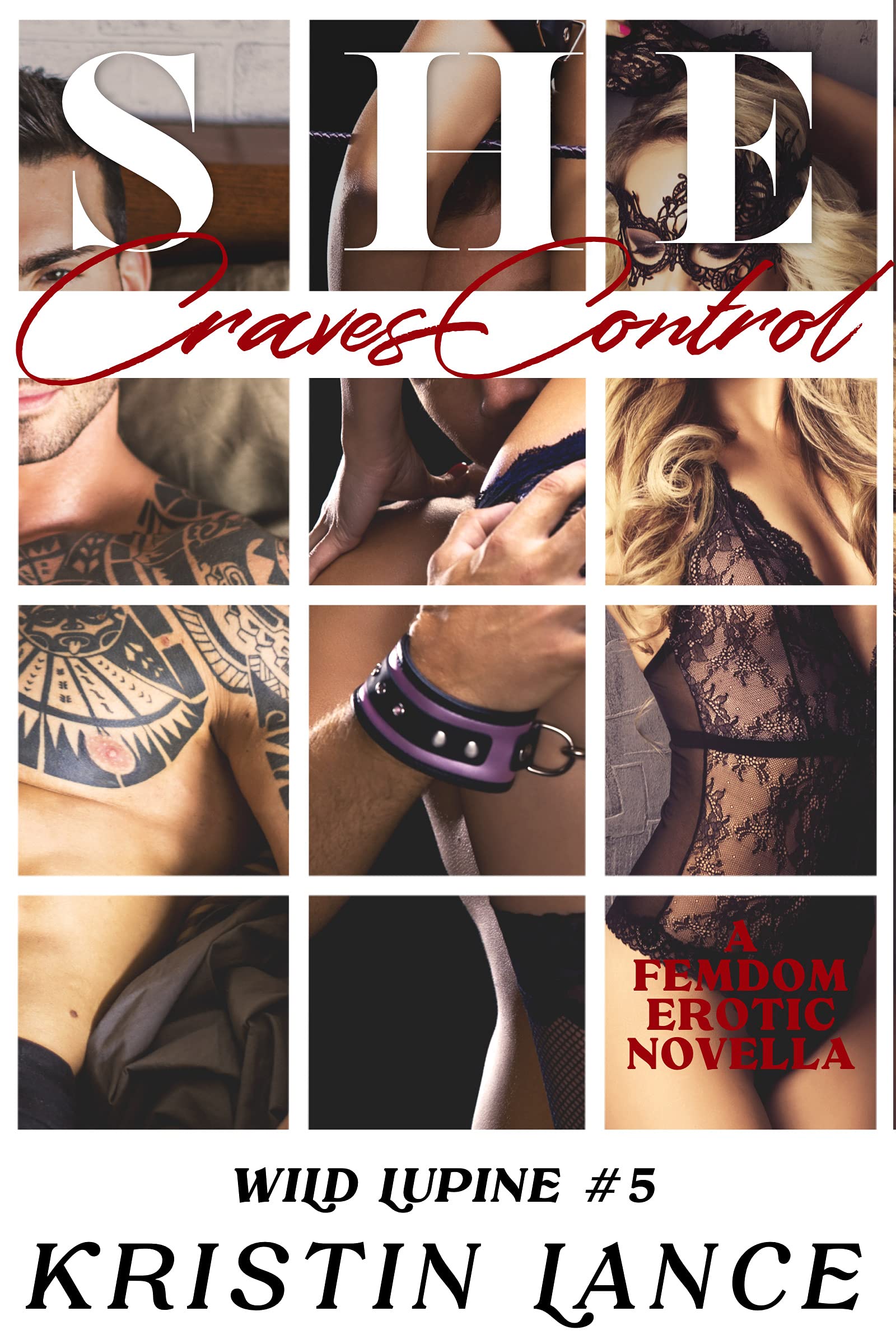 She Craves Control book cover