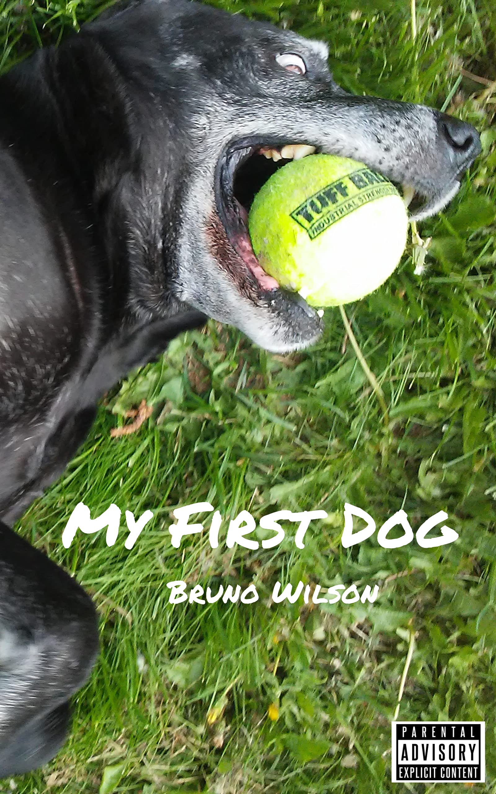 My First Dog by Bruno Wilson | Goodreads
