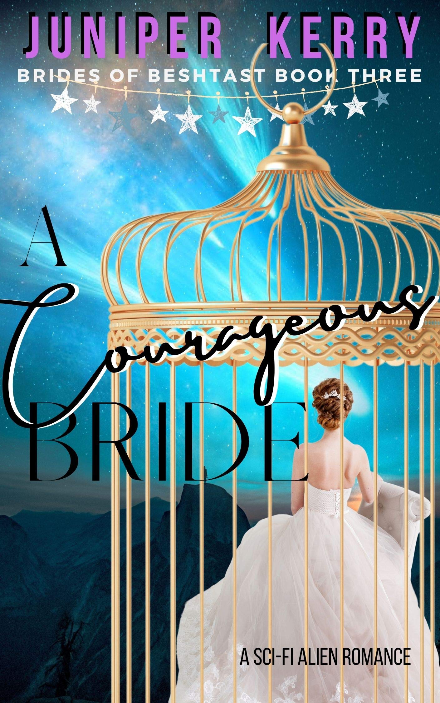 A Courageous Bride book cover