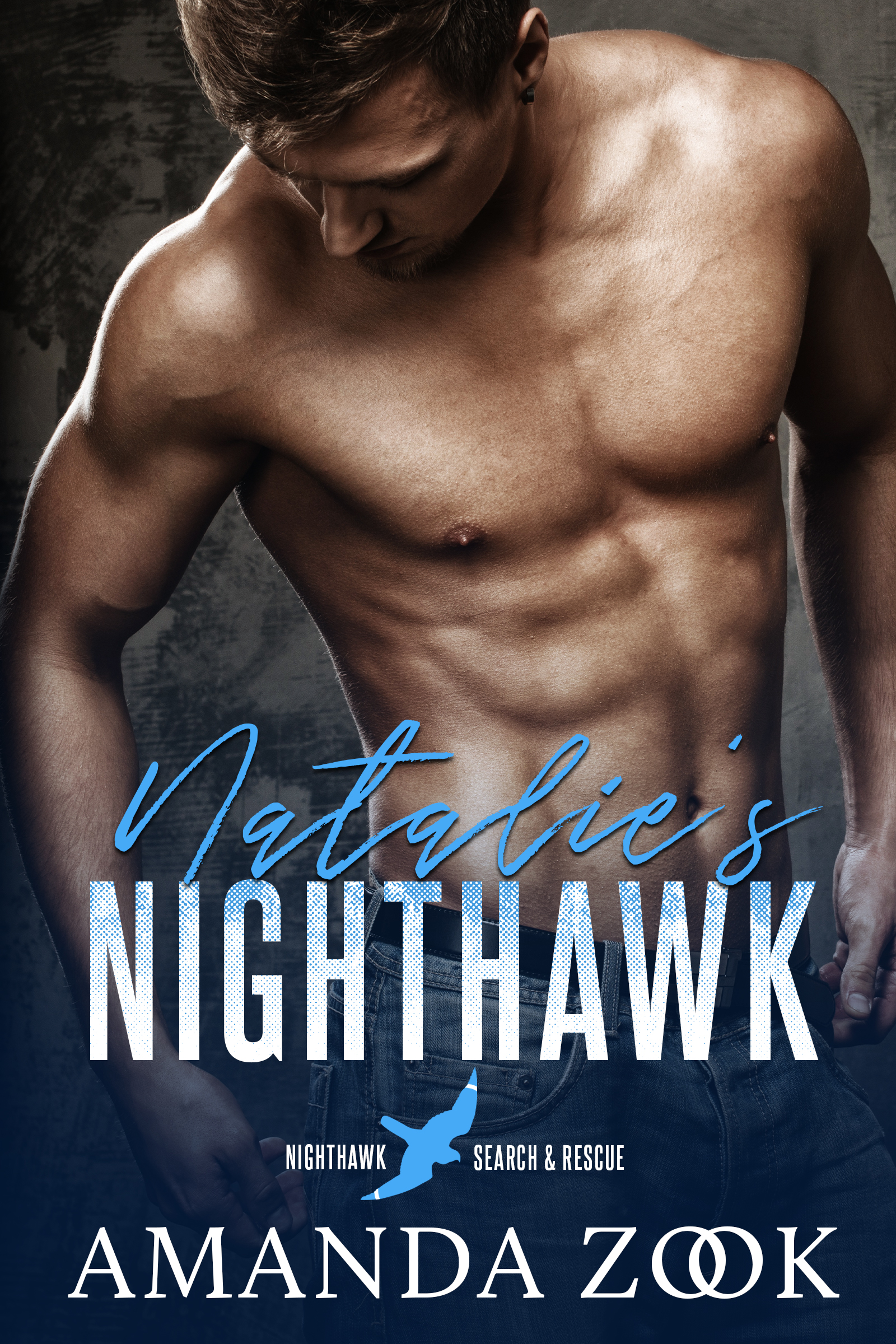 Natalie's Nighthawk