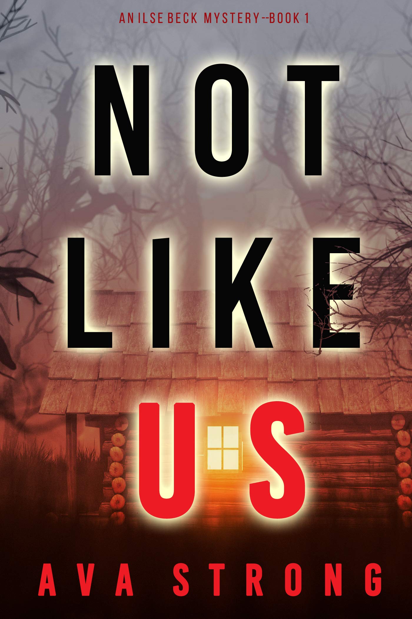 Ilse Beck FBI Suspense Thriller book cover 1
