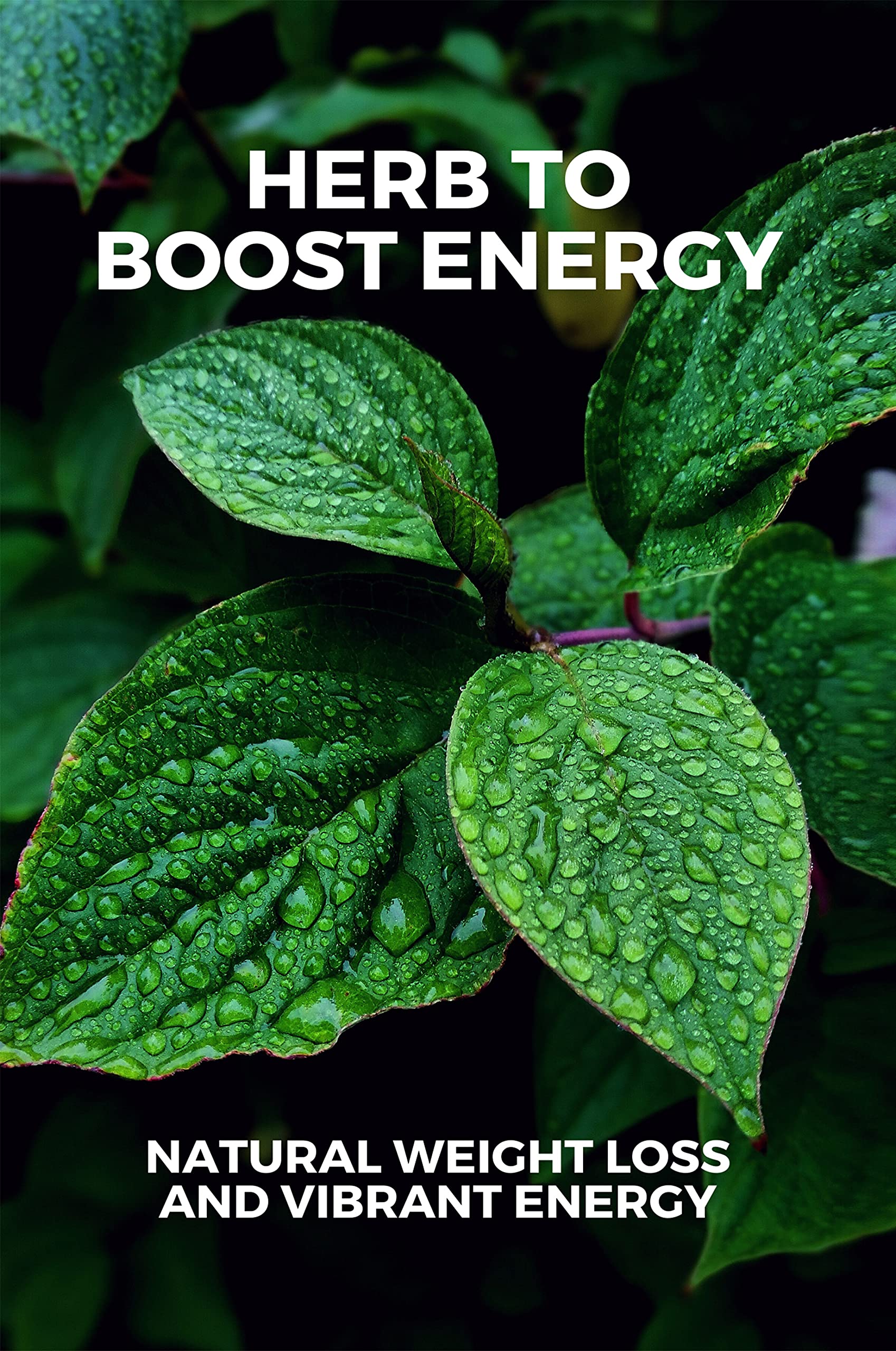 Herb To Boost Energy Natural Weight Loss And Vibrant Energy Herbal