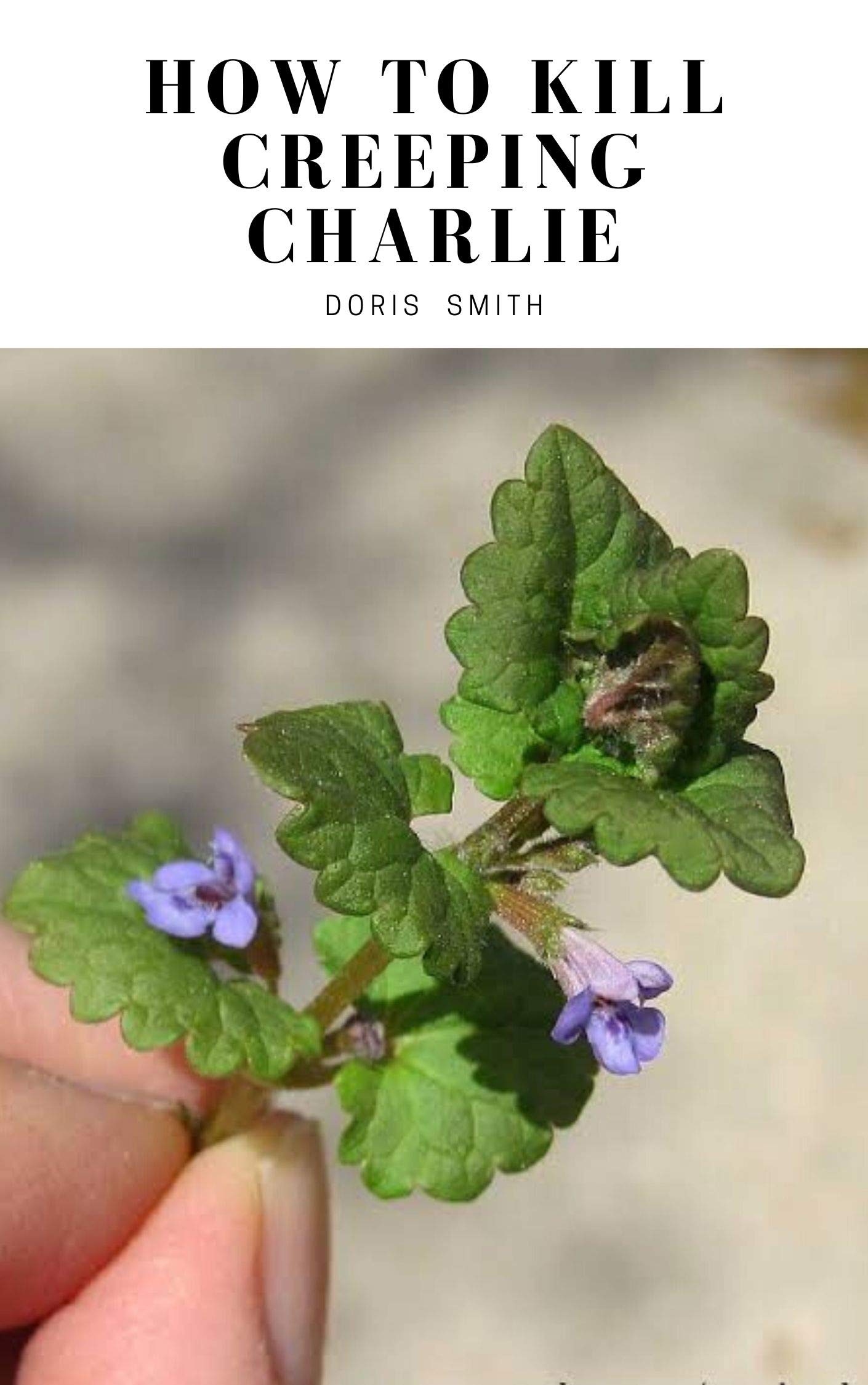How To Kill Creeping Charlie by Doris Smith Goodreads