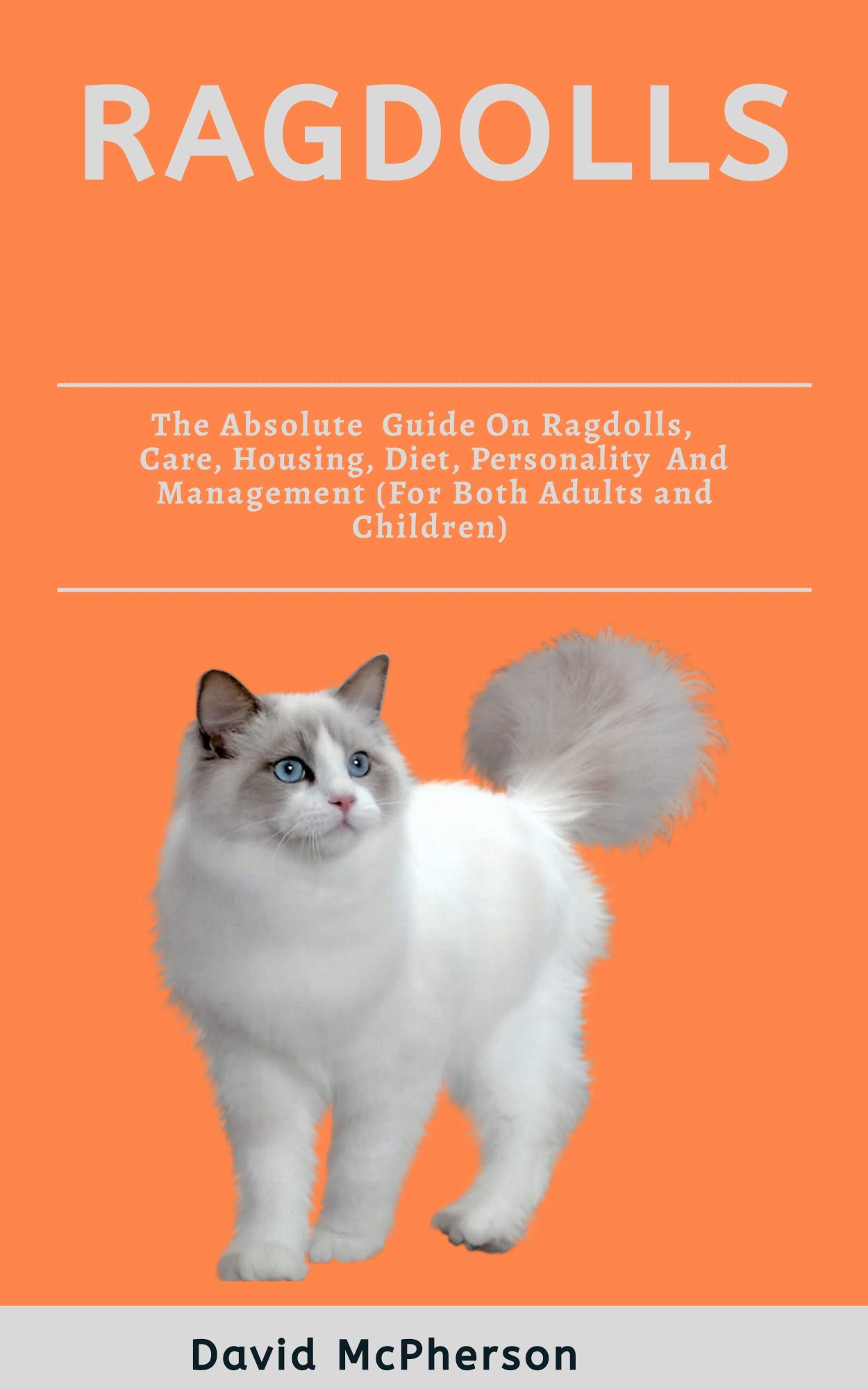 Ragdolls The absolute guide on Ragdoll cat, care, housing, diet