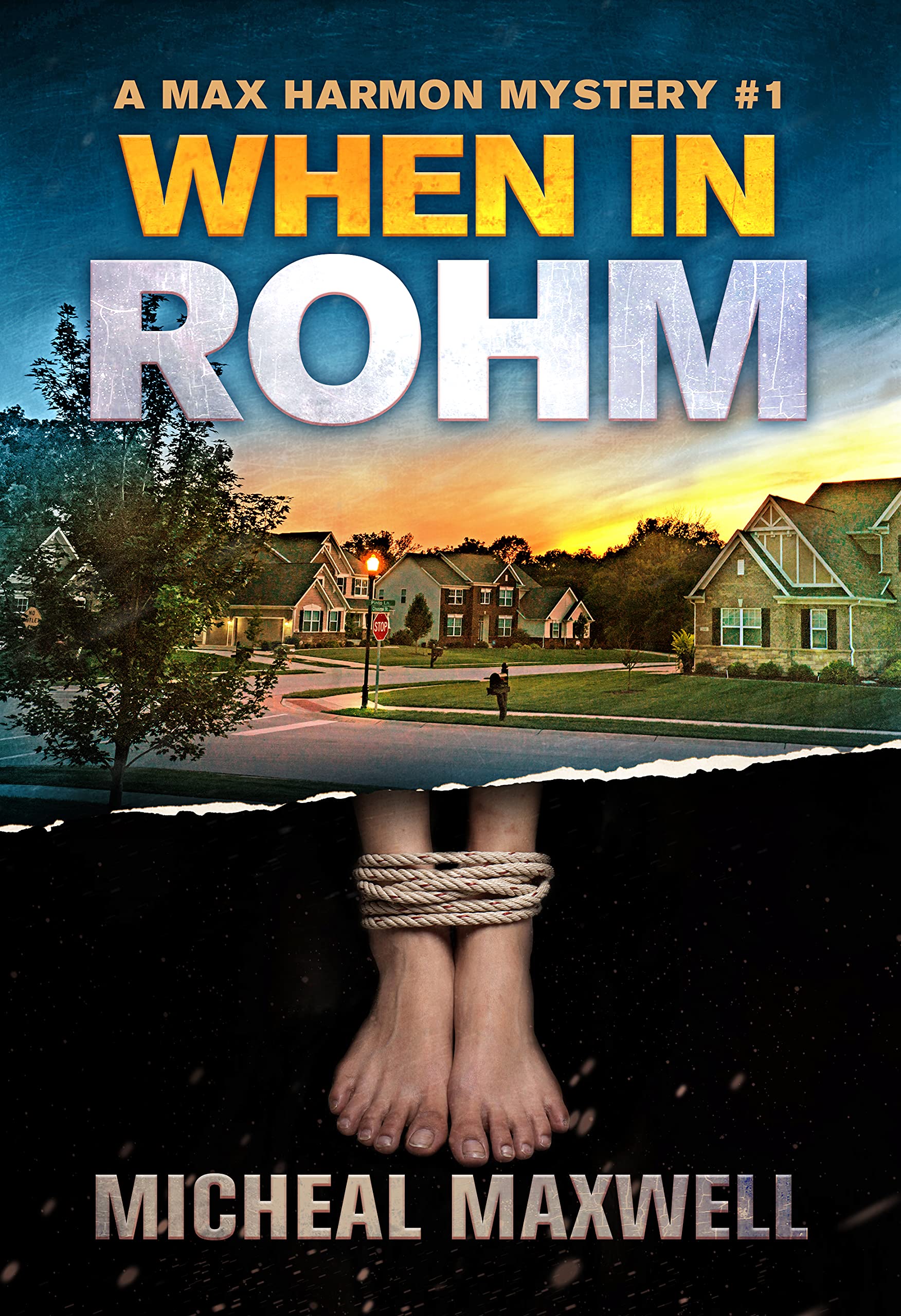 When in Rohm book cover