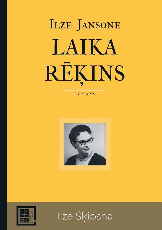 Laika rēķins book cover