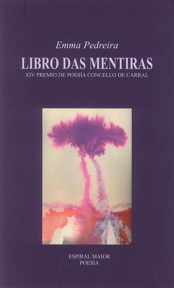 Libro das mentiras book cover