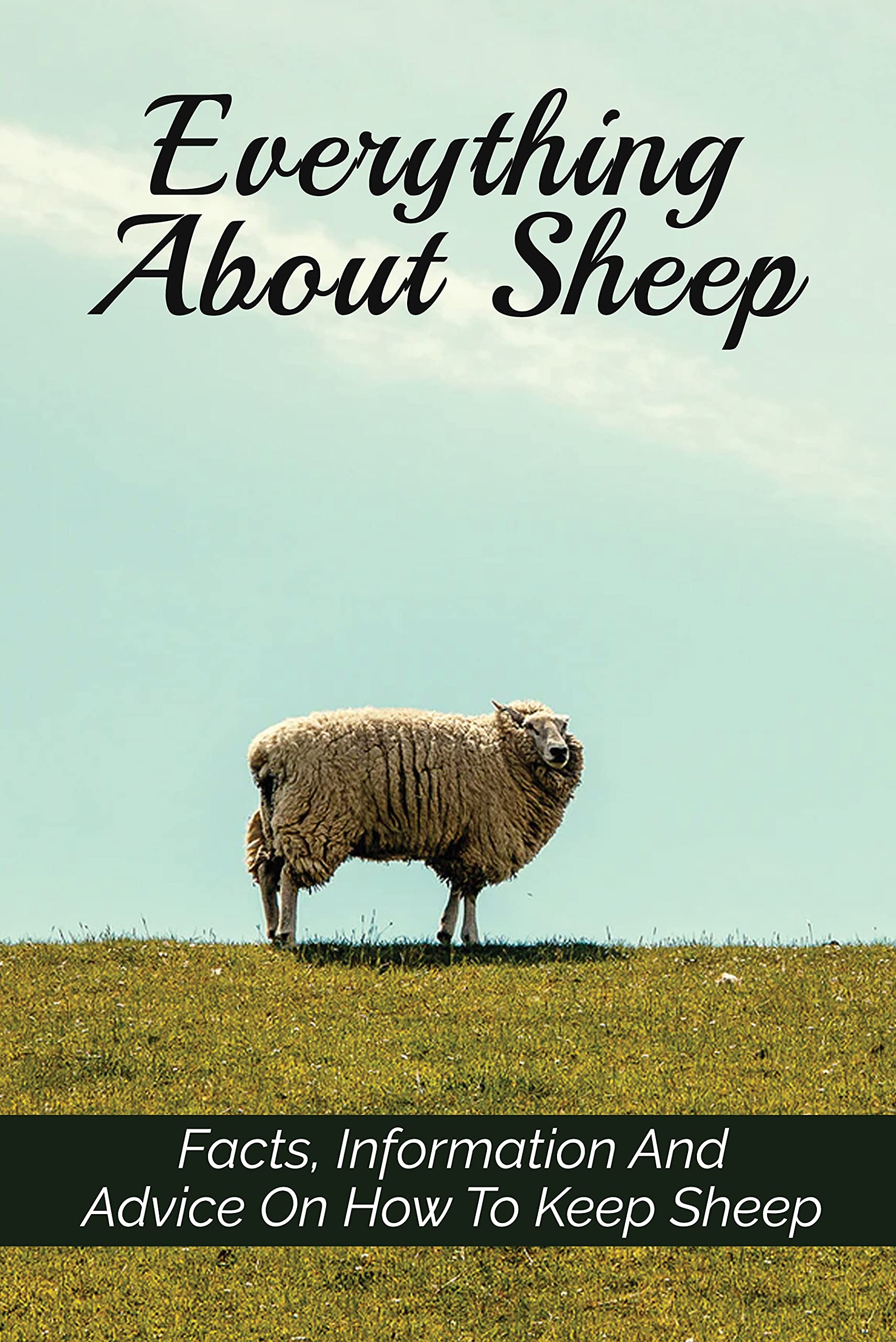 Everything About Sheep Facts, Information And Advice On How To Keep Sheep How To Care For