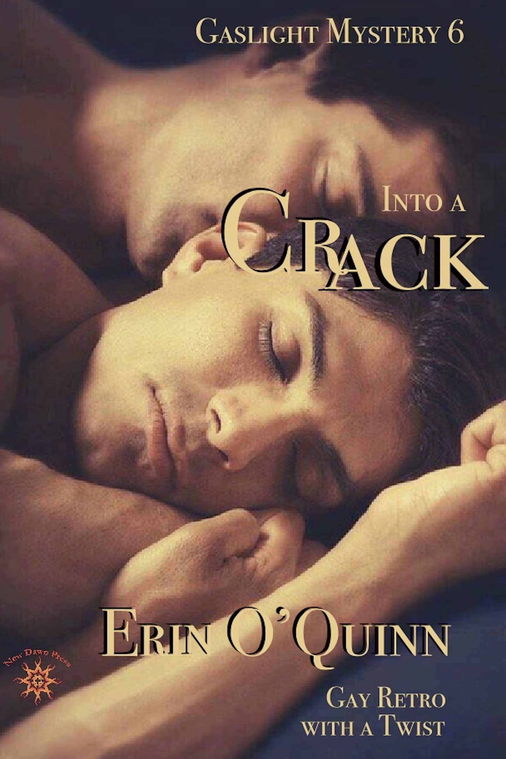 Into a Crack book cover