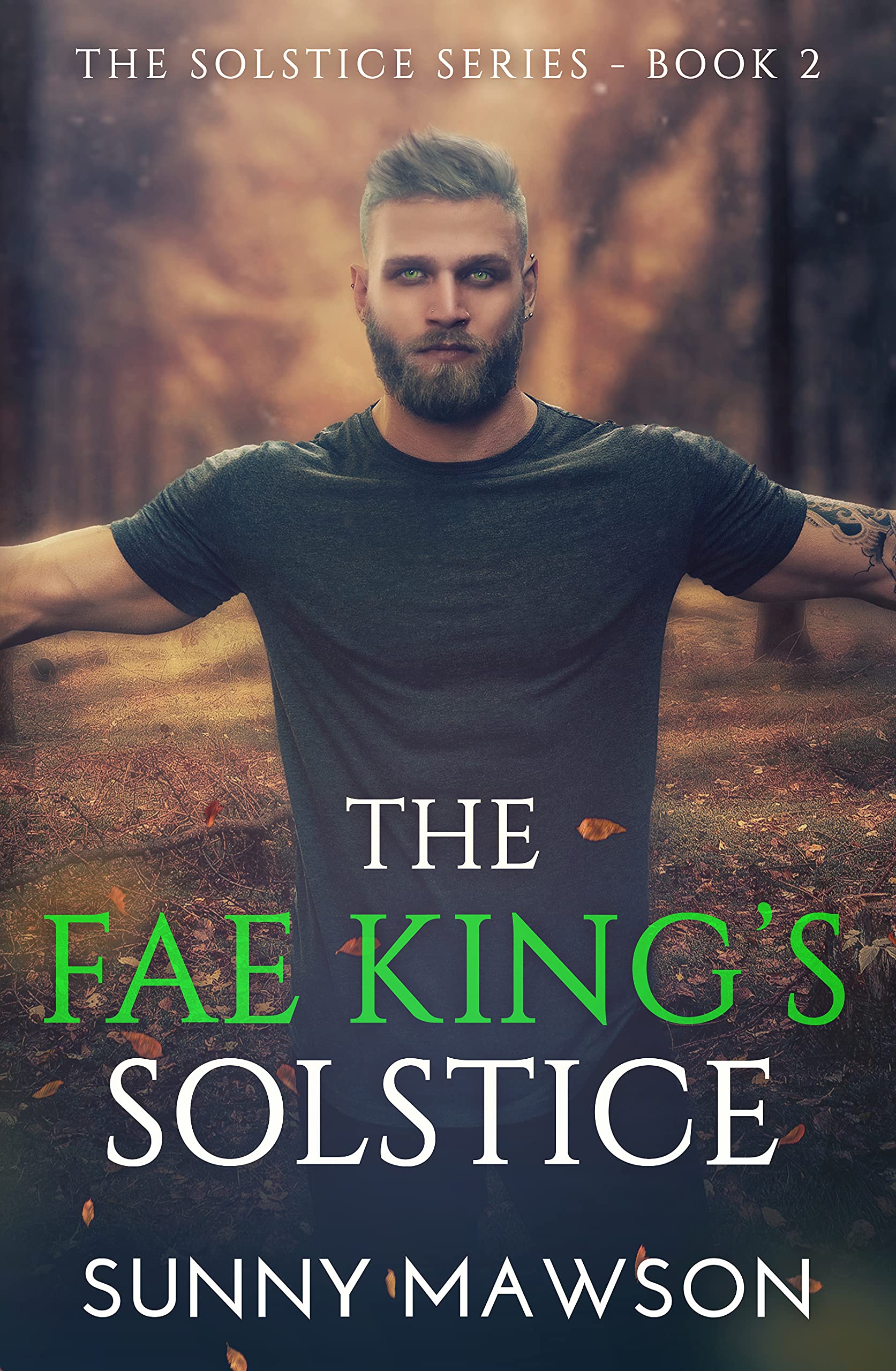 The Fae King's Solstice book cover