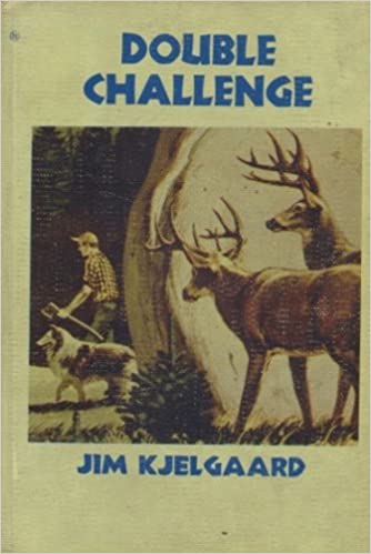Double Challenge book cover