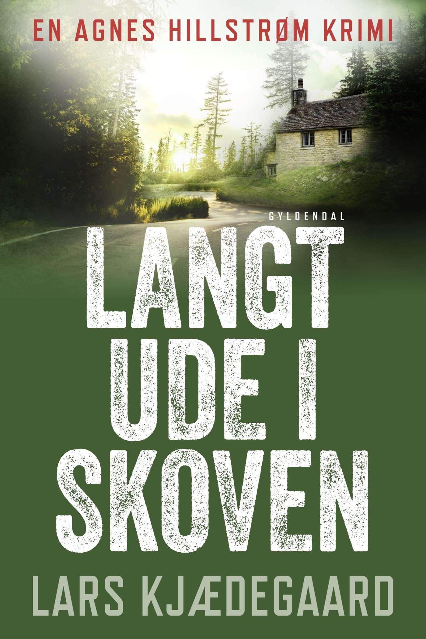 Langt ude i skoven book cover