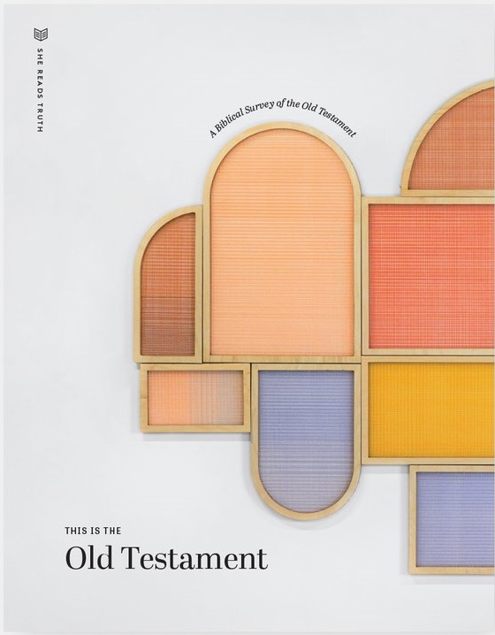 This Is The Old Testament book cover