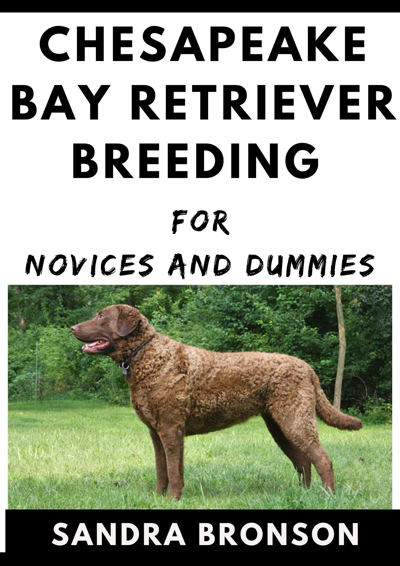chesapeake-bay-retriever-breeding-for-novices-and-dummies-by-sandra
