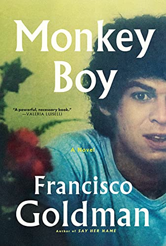 Monkey Boy book cover