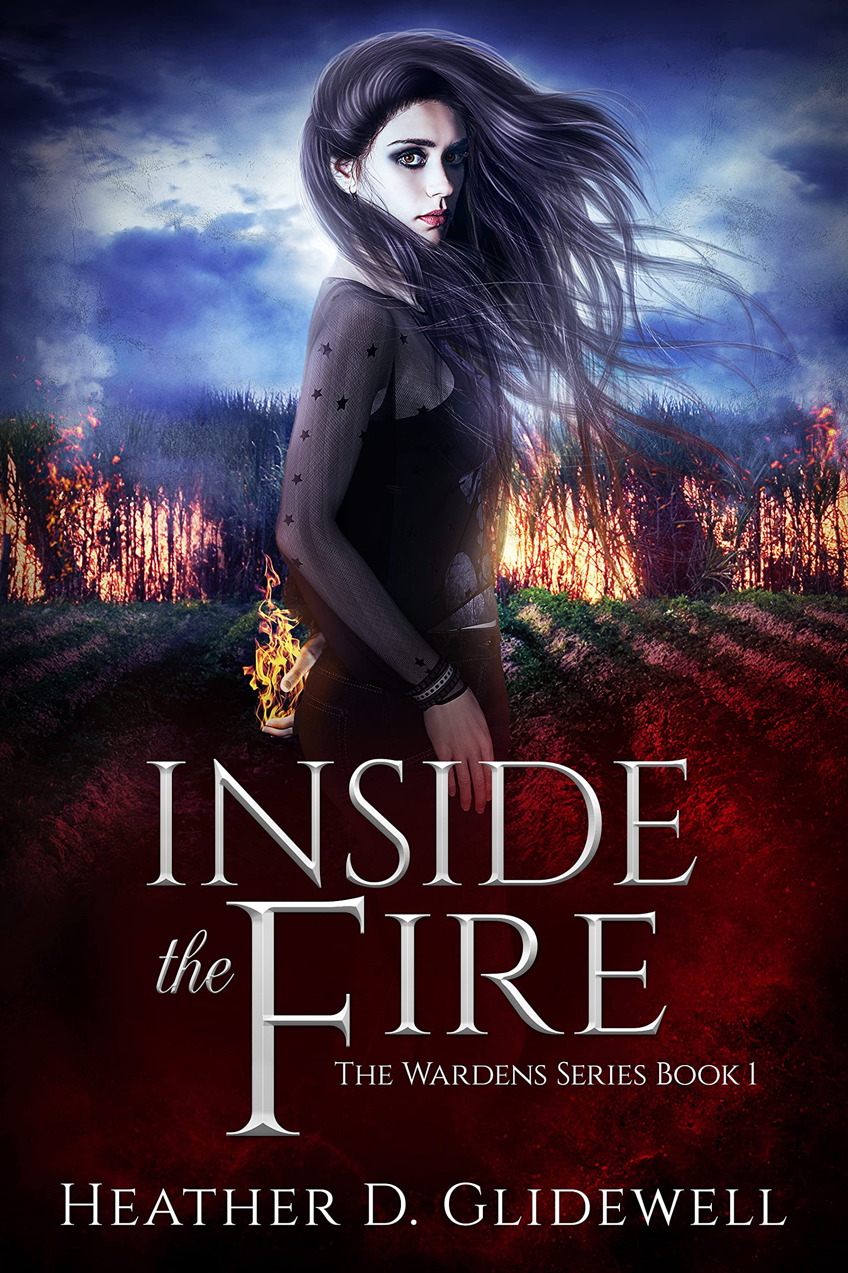 Inside The Fire book cover