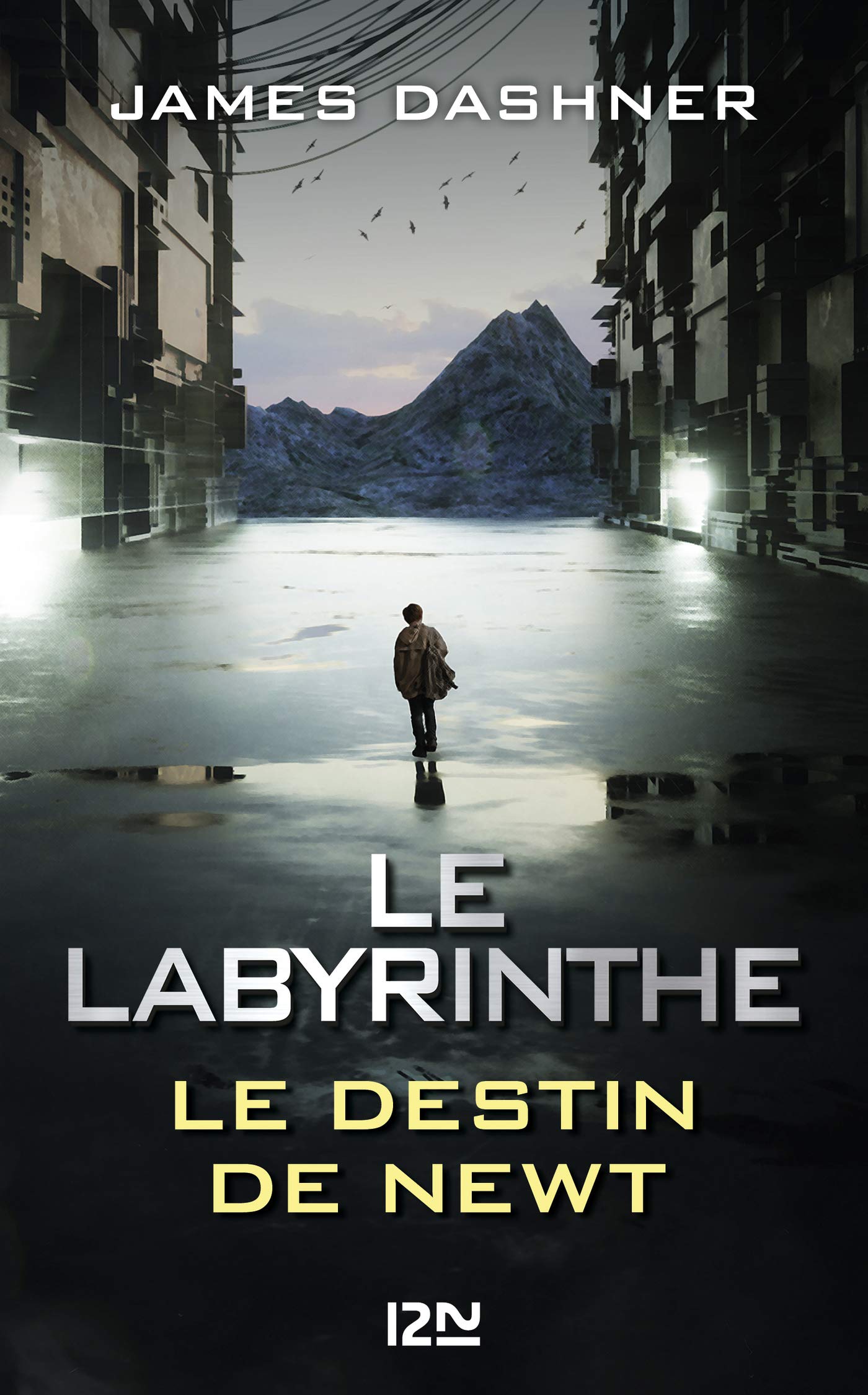 Le destin de Newt (Le Labyrinthe)