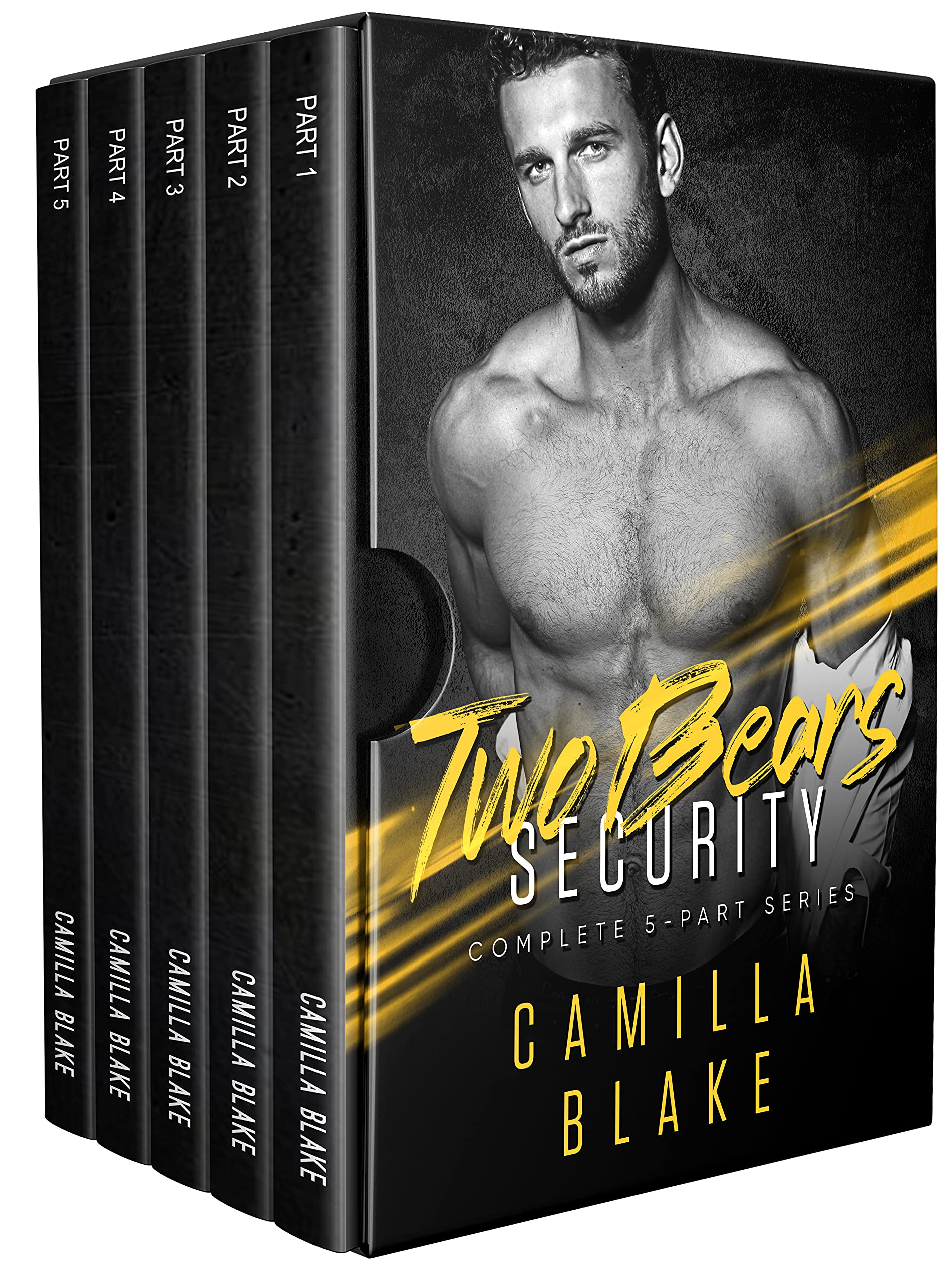 Two Bears Security: Complete 5-Book Series