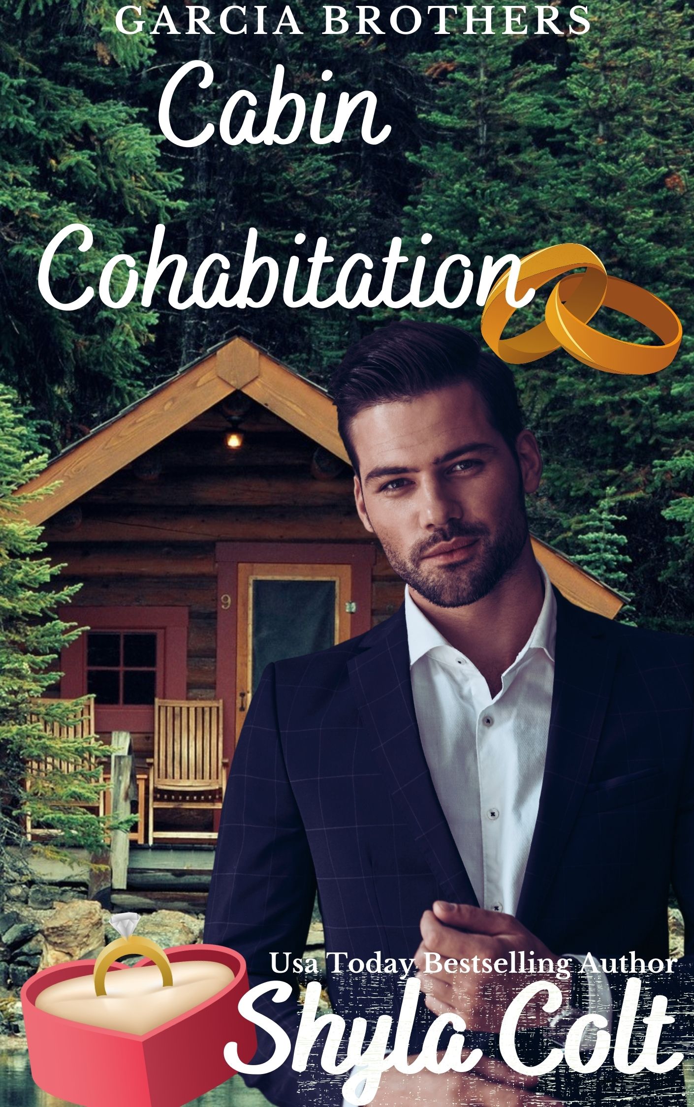 Cabin Cohabitation book cover