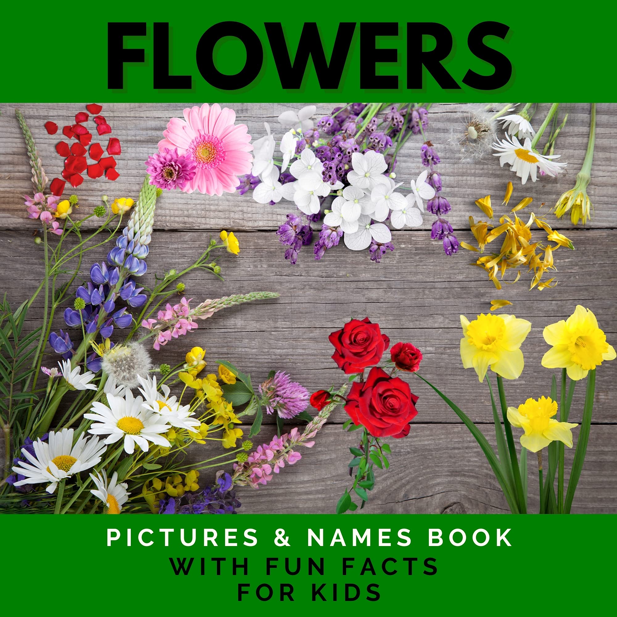 Flowers Pictures & Names Book With Fun Facts For Kids Read Aloud Fun