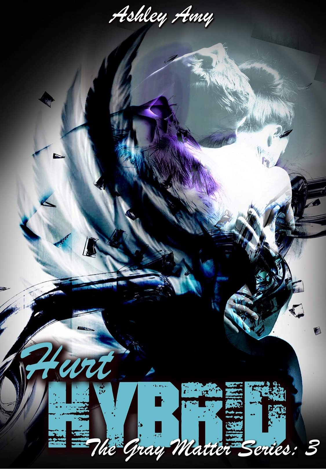 Hurt Hybrid book cover