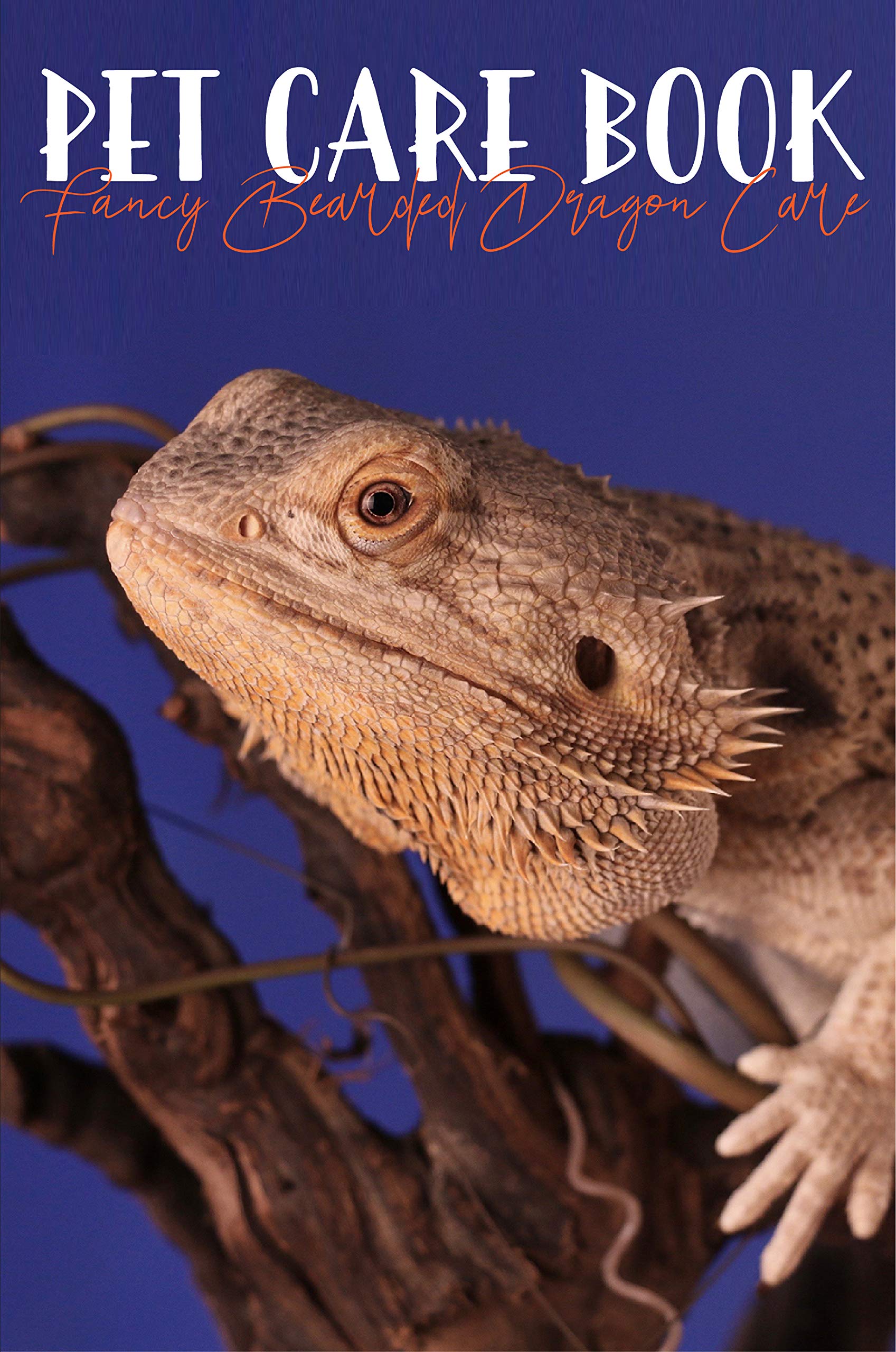 Pet Care Book Fancy Bearded Dragon Care Bearded Dragon Care For