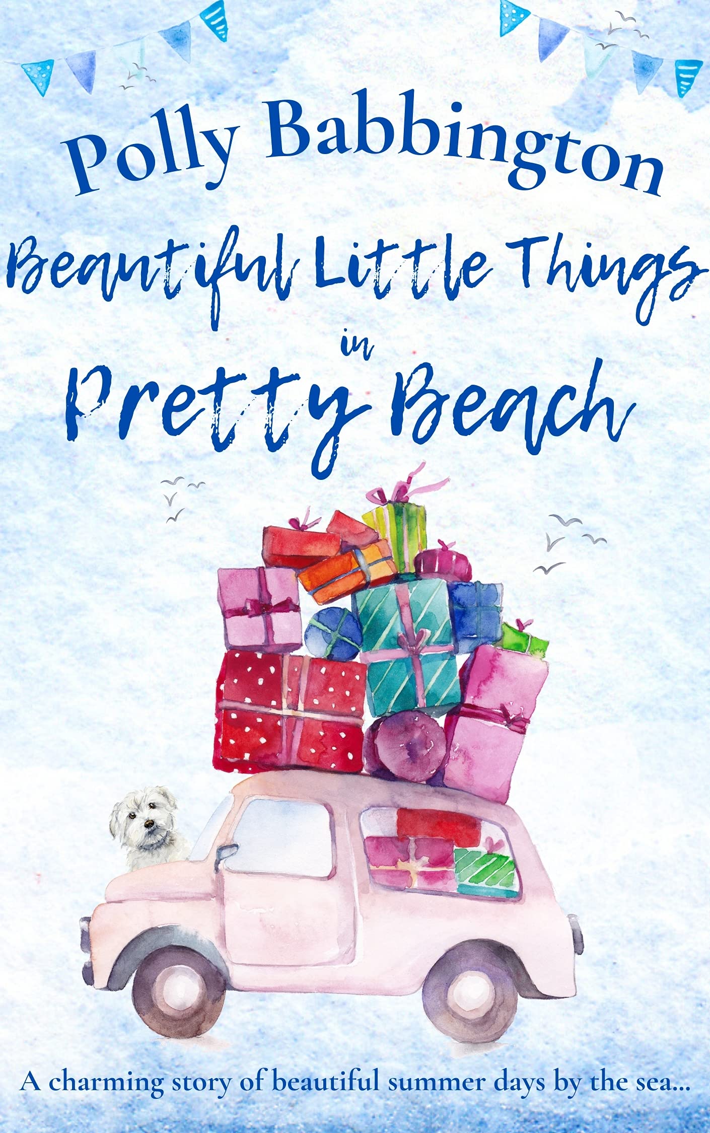 Beautiful Little Things in Pretty Beach book cover