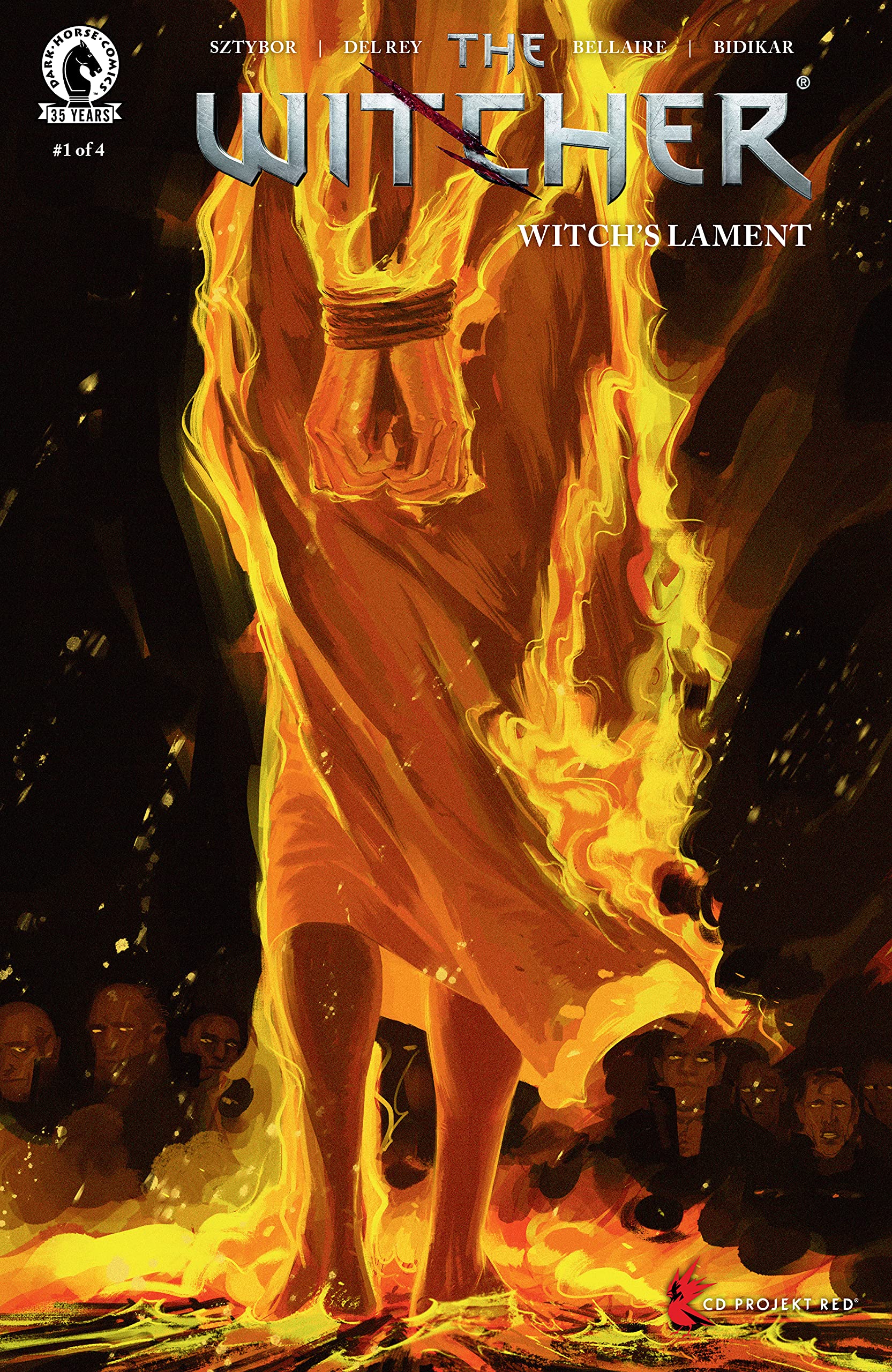The Witcher book cover
